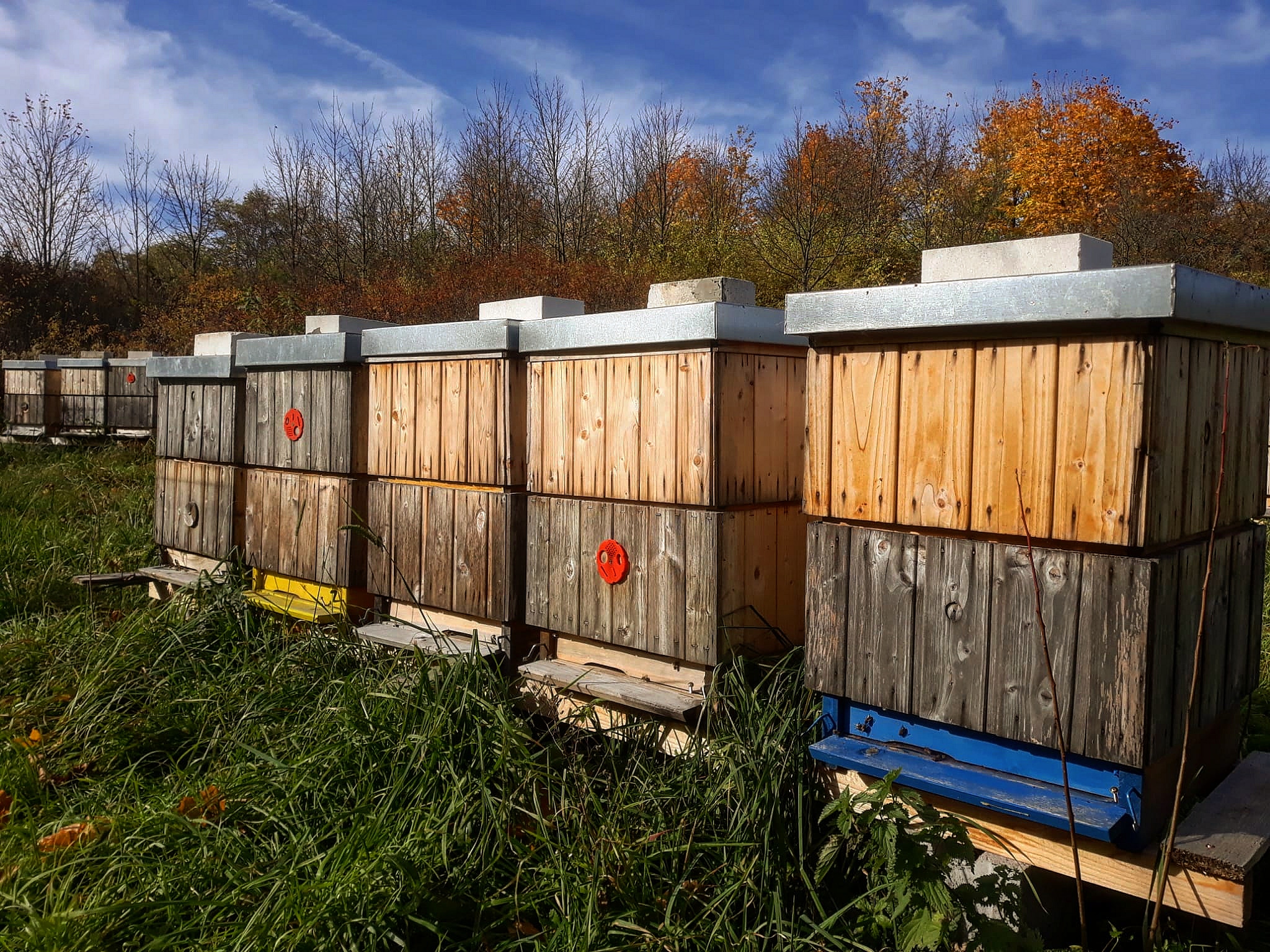 Včelařství Marmedy foto 4