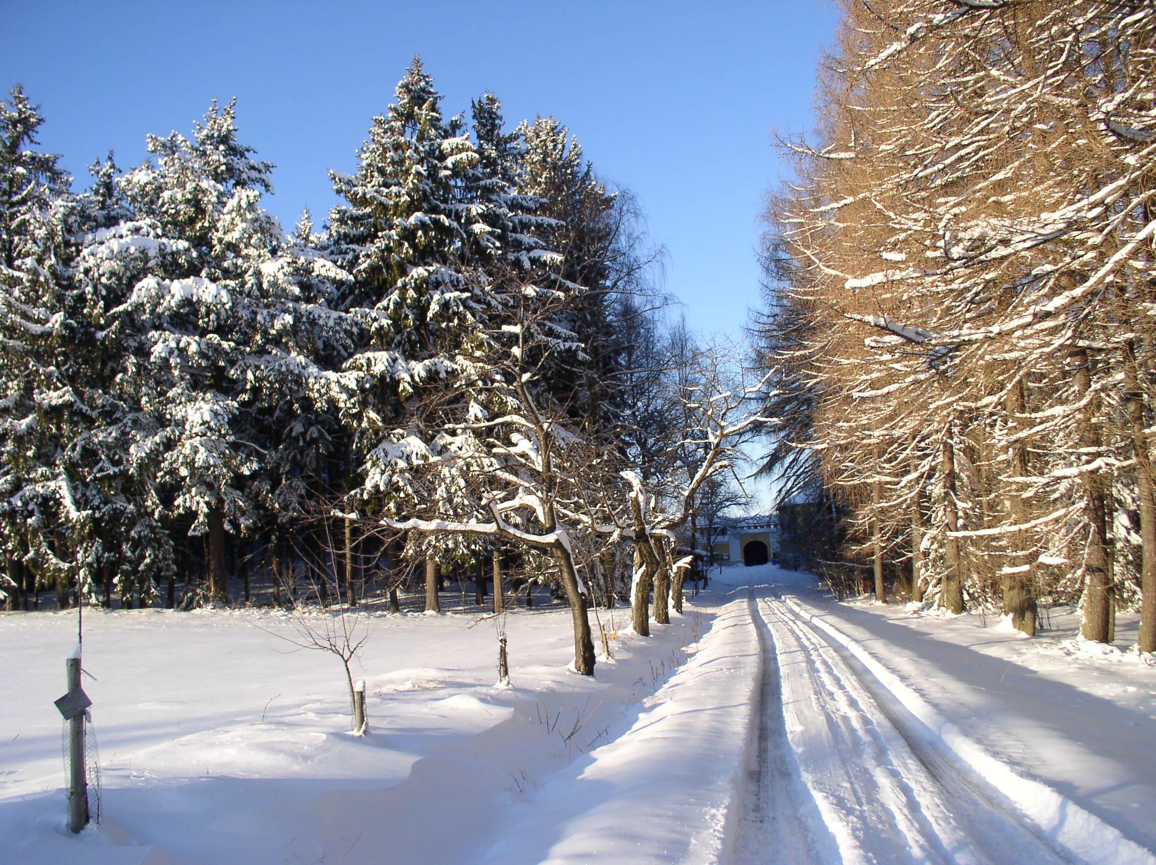 Ekopenzion Chaloupky Kněžice foto 3