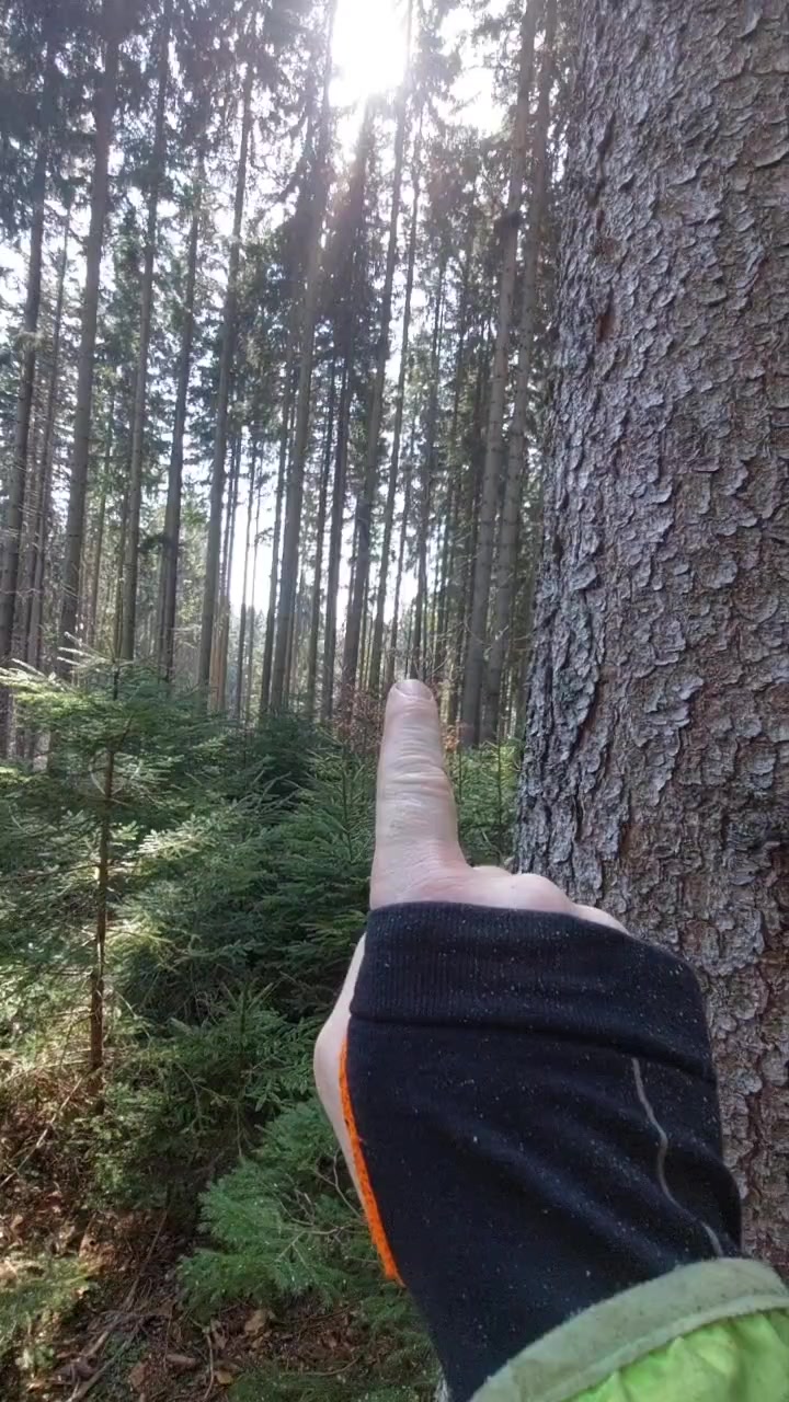 Miroslav Král foto 2 (náhled videa)