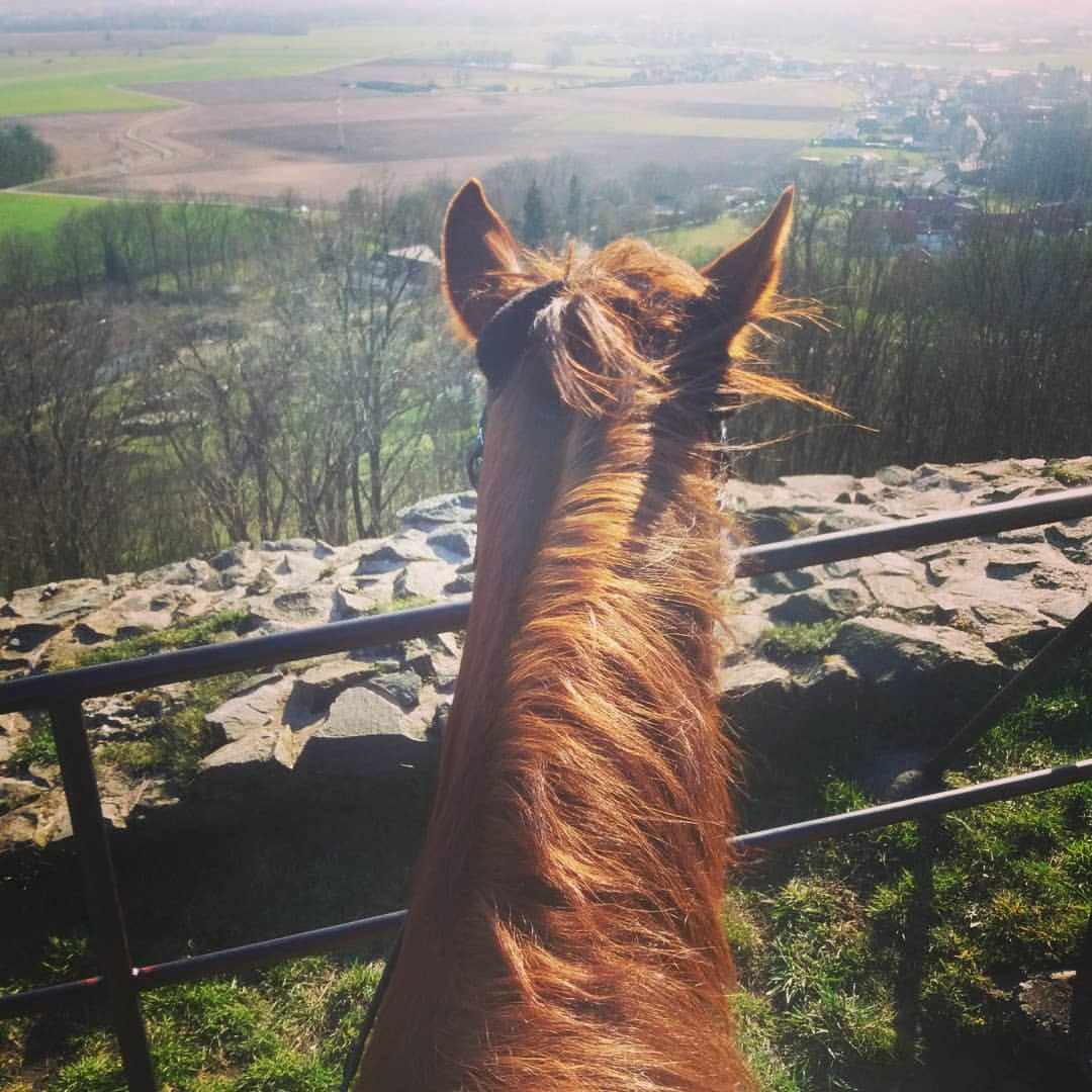 Ranč pod Kuňkou foto 6
