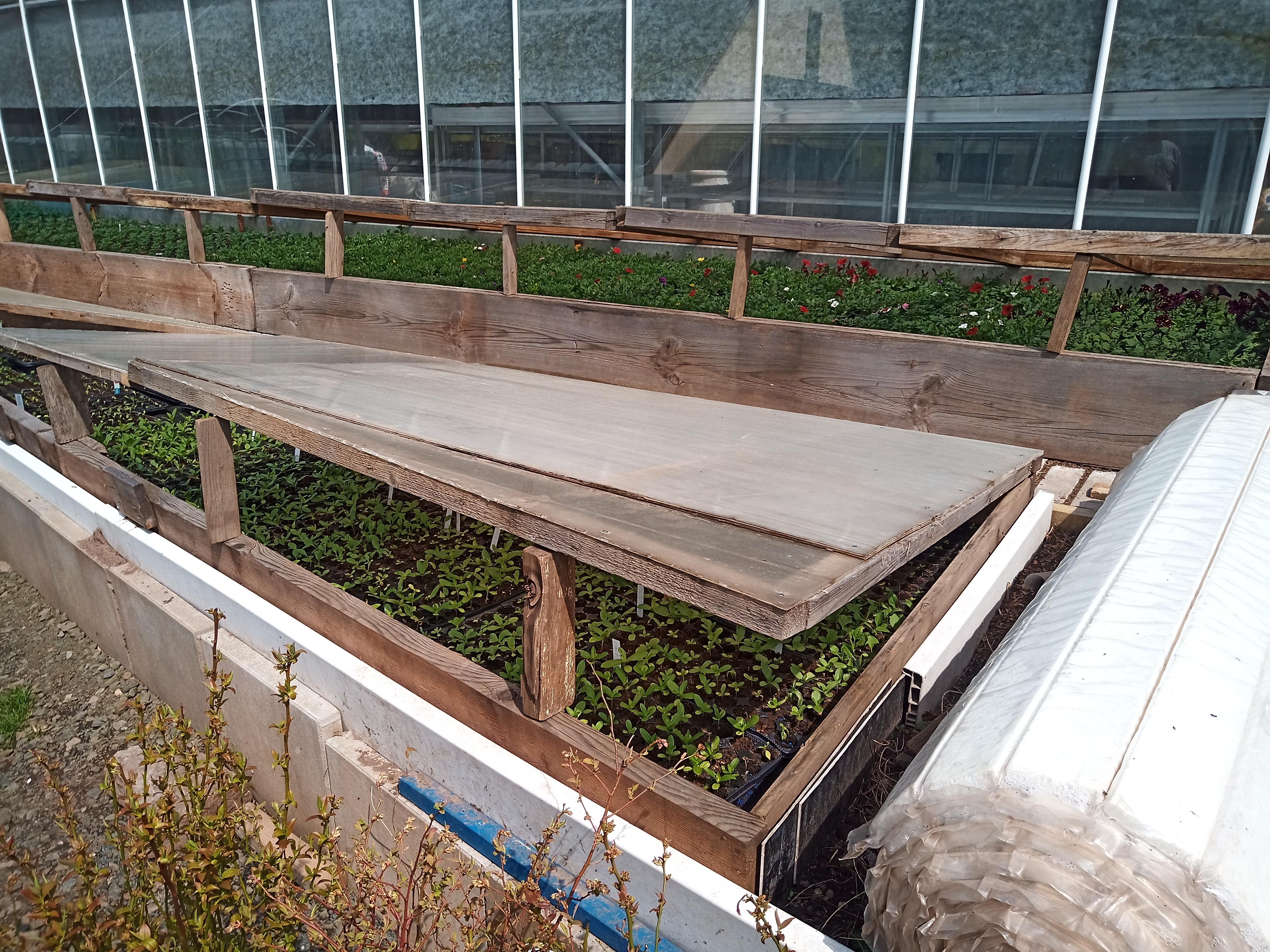 Zahradnictví u Jany foto 3