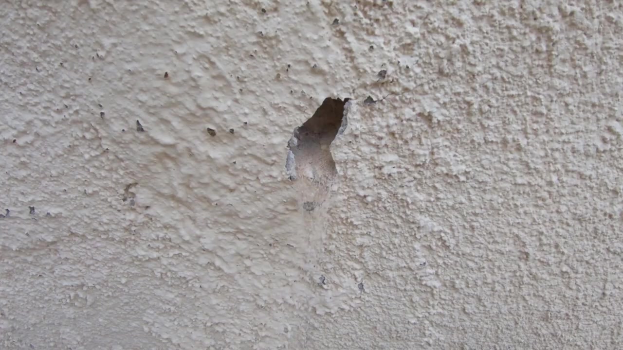 Oborné sanace - Lukáš Pečenka foto 2 (náhled videa)