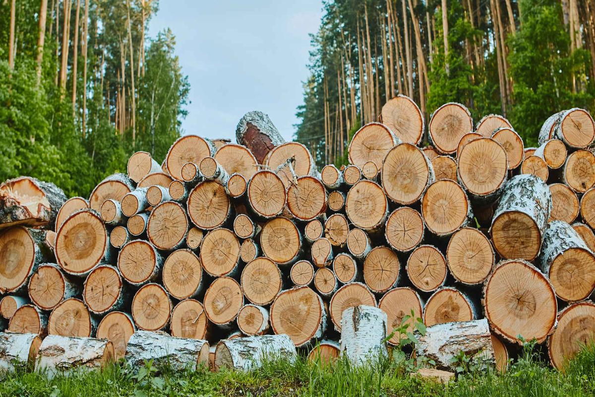 Pila Voříšek s.r.o.