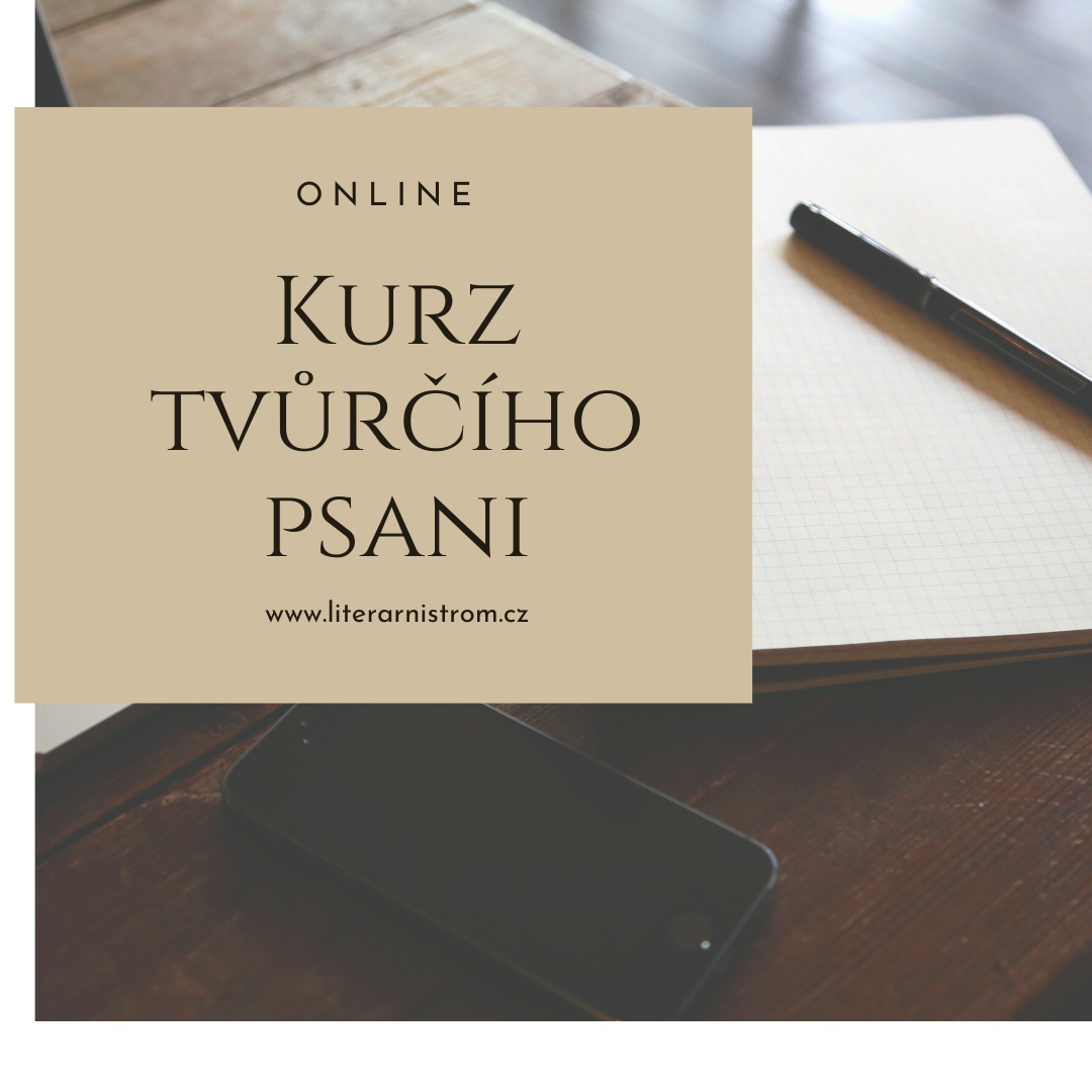 Renata Šindelářová - Tvůrčí psaní, posudky, korektury, knihy foto 4