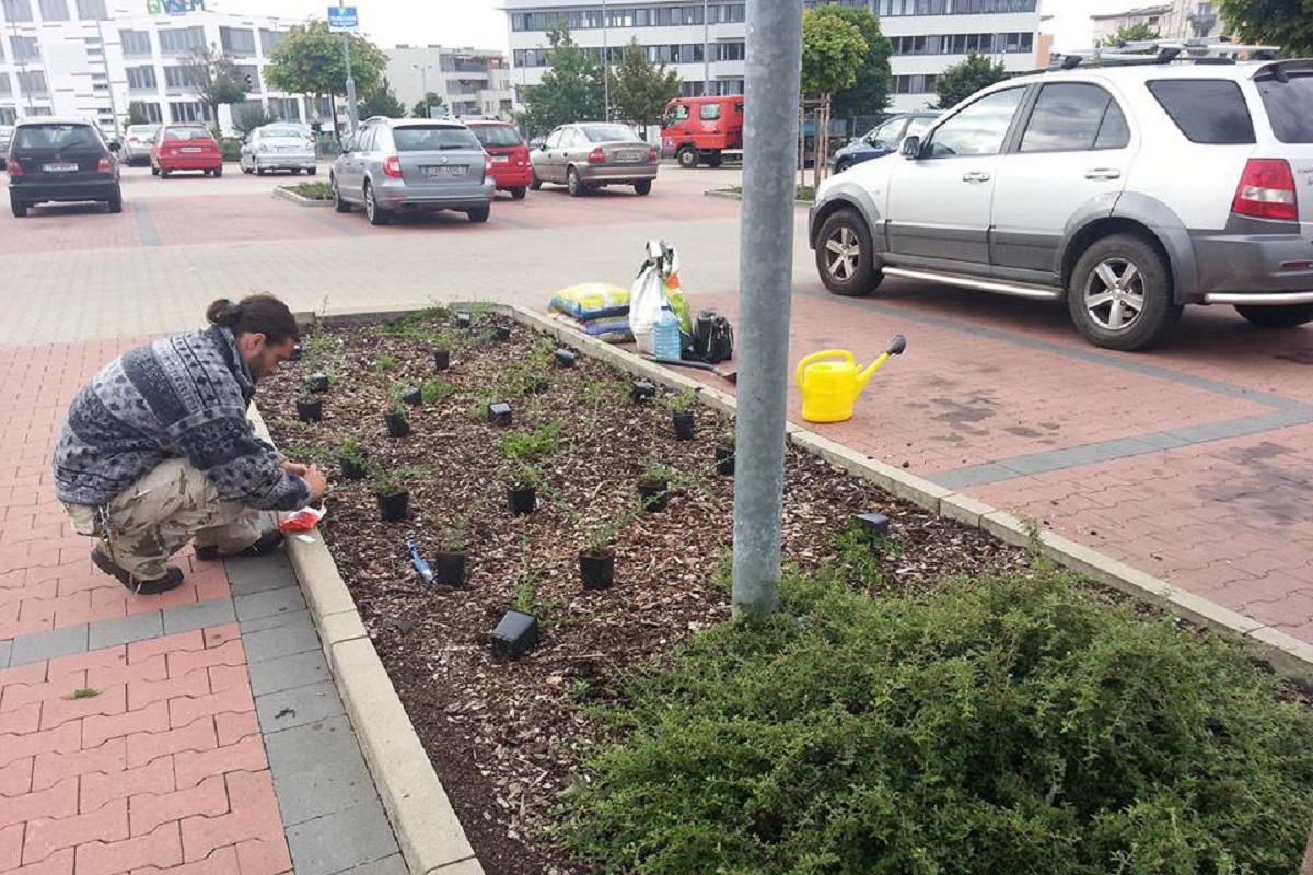 Šticha a syn s.r.o.