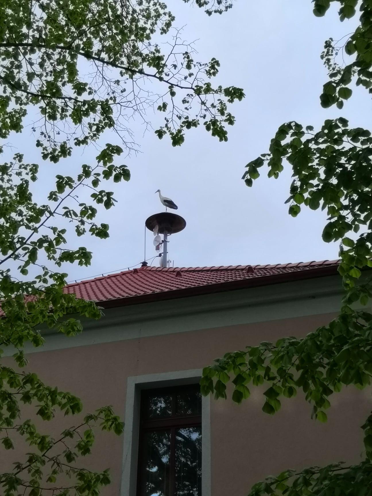 MŠ Rychnovek - Zvole foto 4