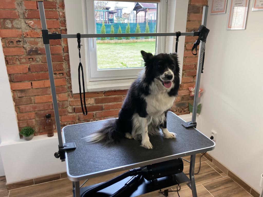 Psí Salon Ruby foto 2