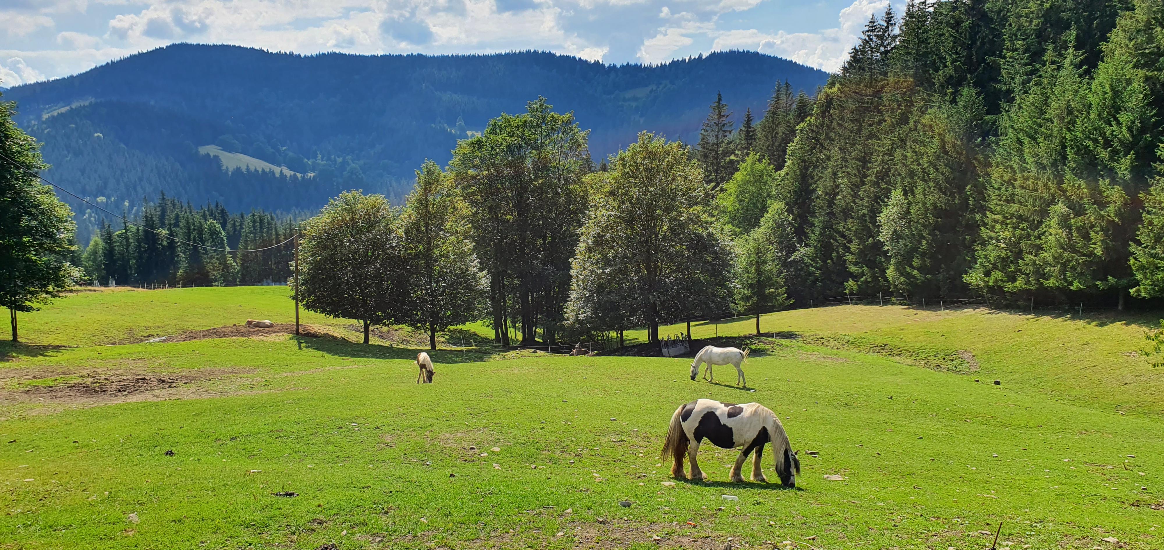 Statek U Rajmunda foto 3