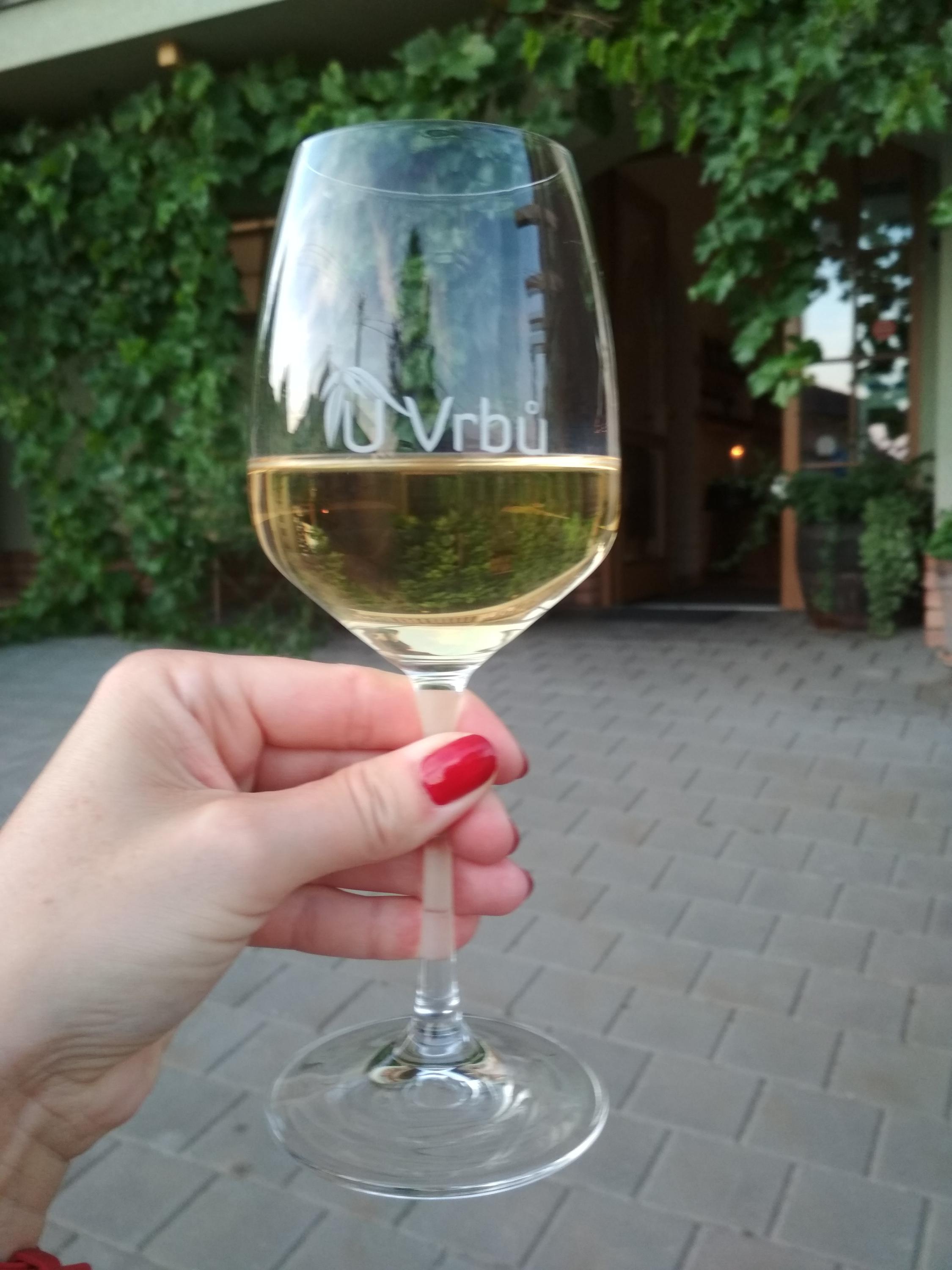 Vinařství a penzion U Vrbů foto 6