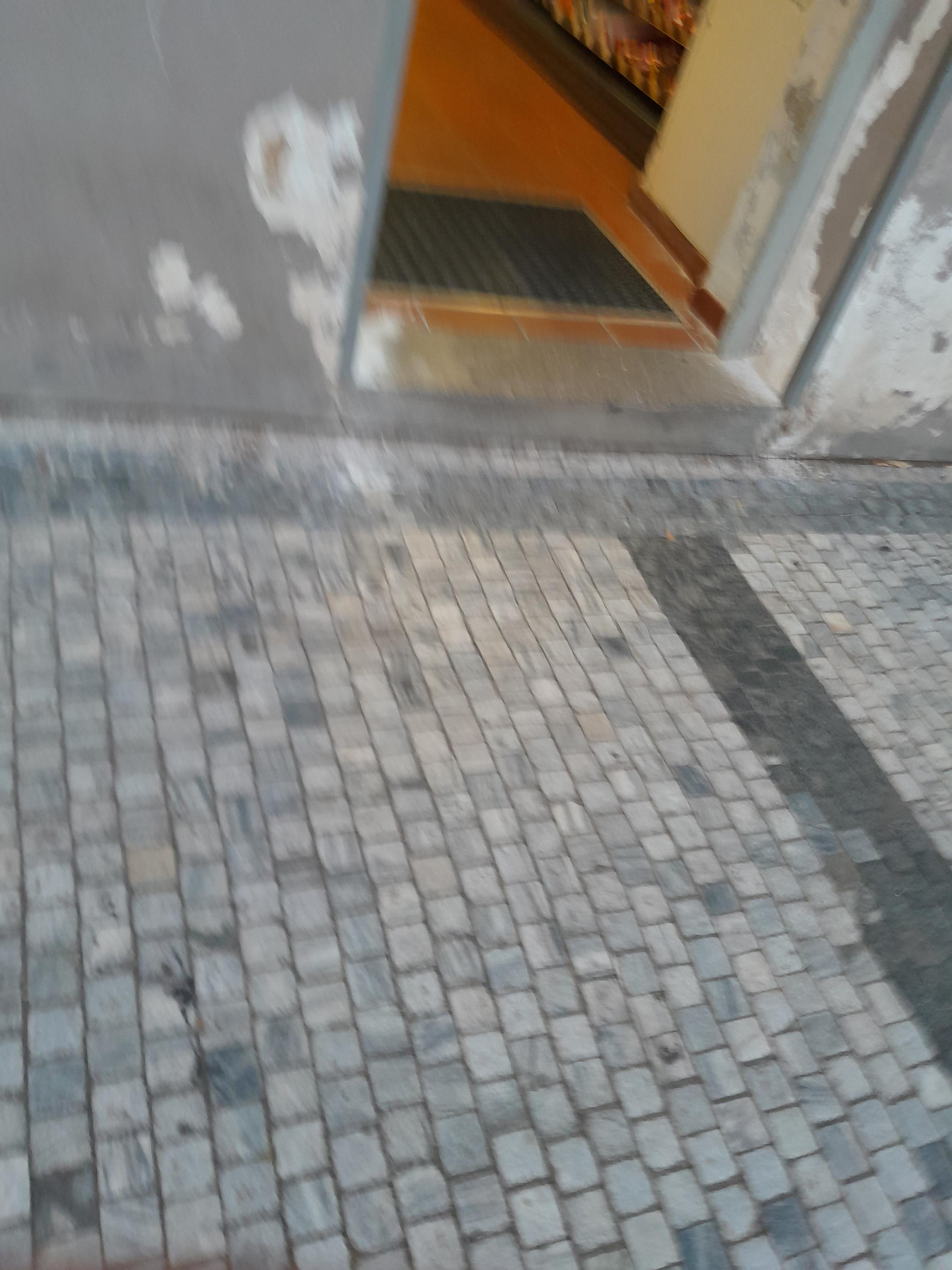 Žabka foto 3
