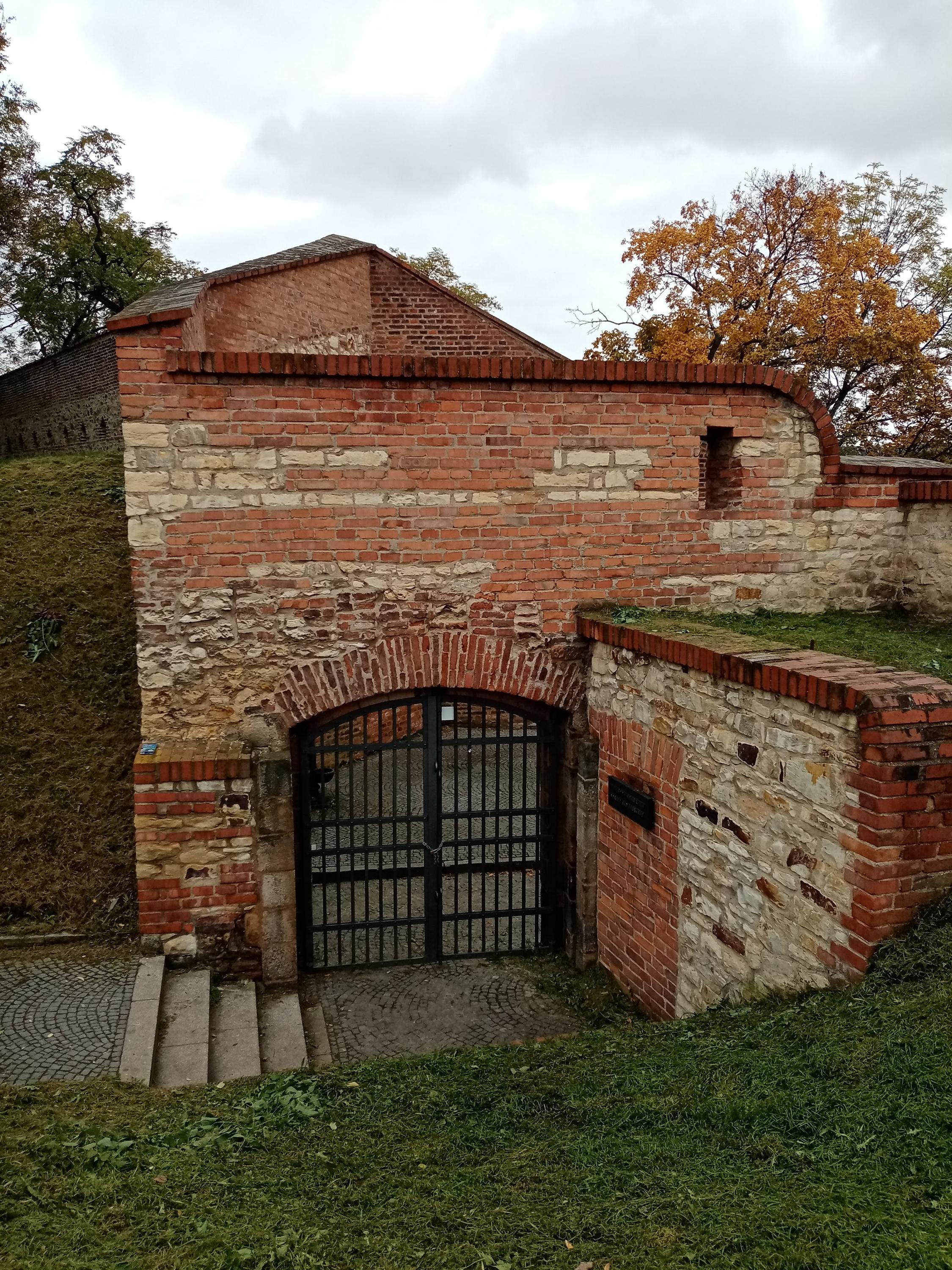 Letní scéna foto 6