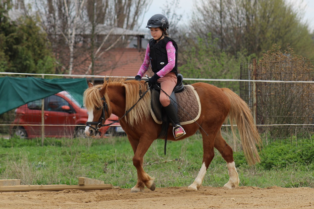 Ježdění na koni pro začátečníky