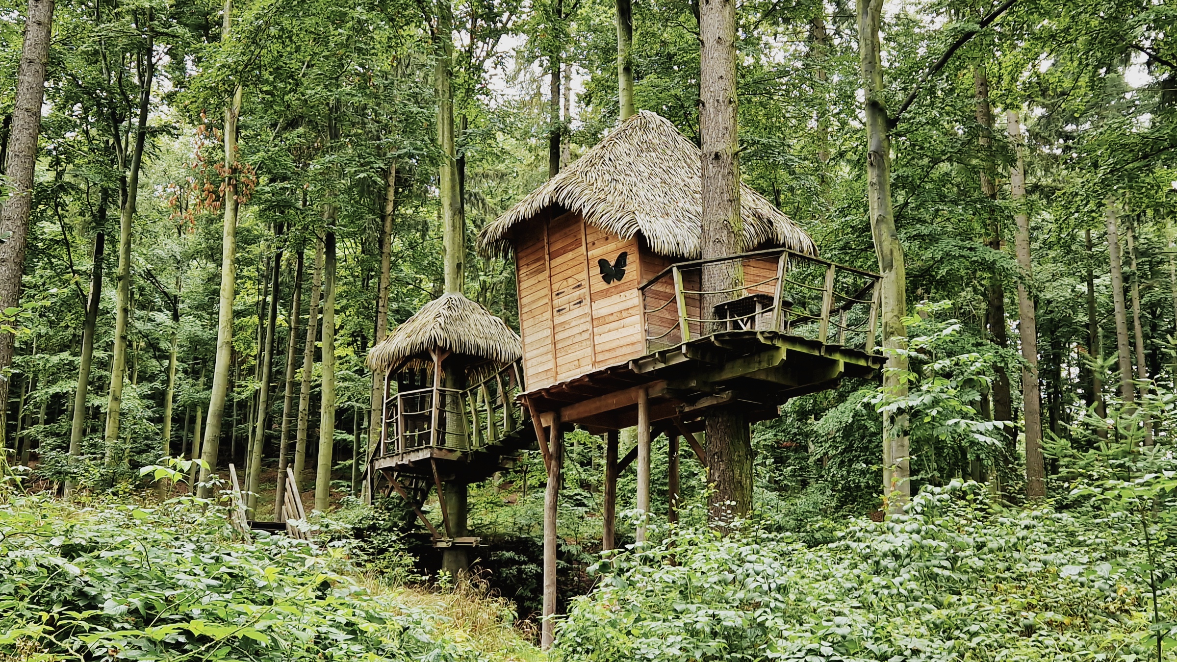 Tree house Sojčí hnízdo
