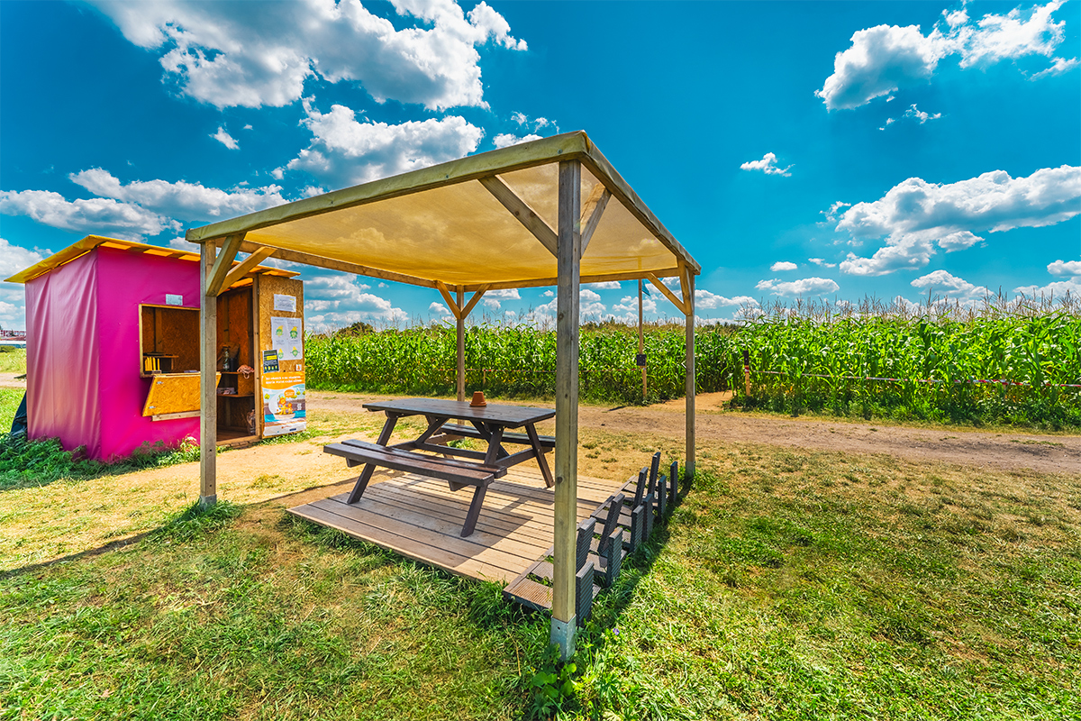 Kukuřičáci – Obří kukuřičné bludiště Plzeň - Přeštice foto 4
