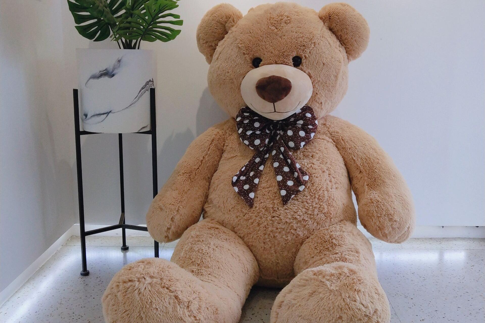 Plysovymedved.cz foto 1