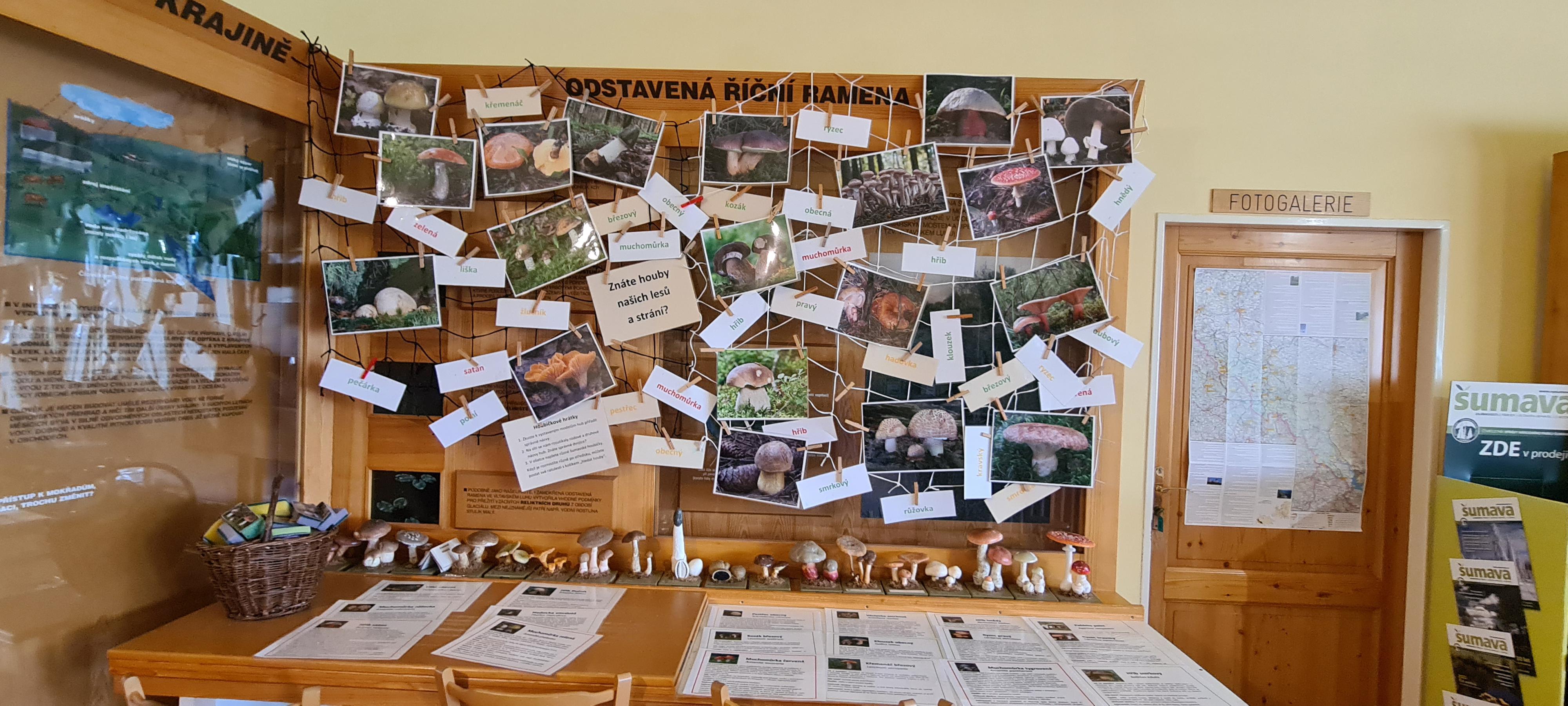 Informační středisko Kašperské Hory foto 6