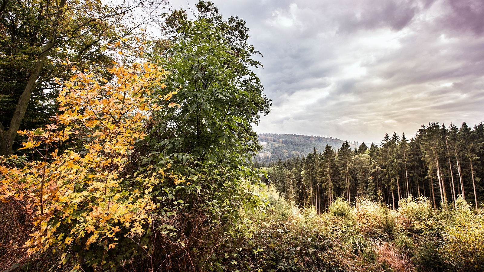 Místo v srdci - Pobyty ve tmě foto 3