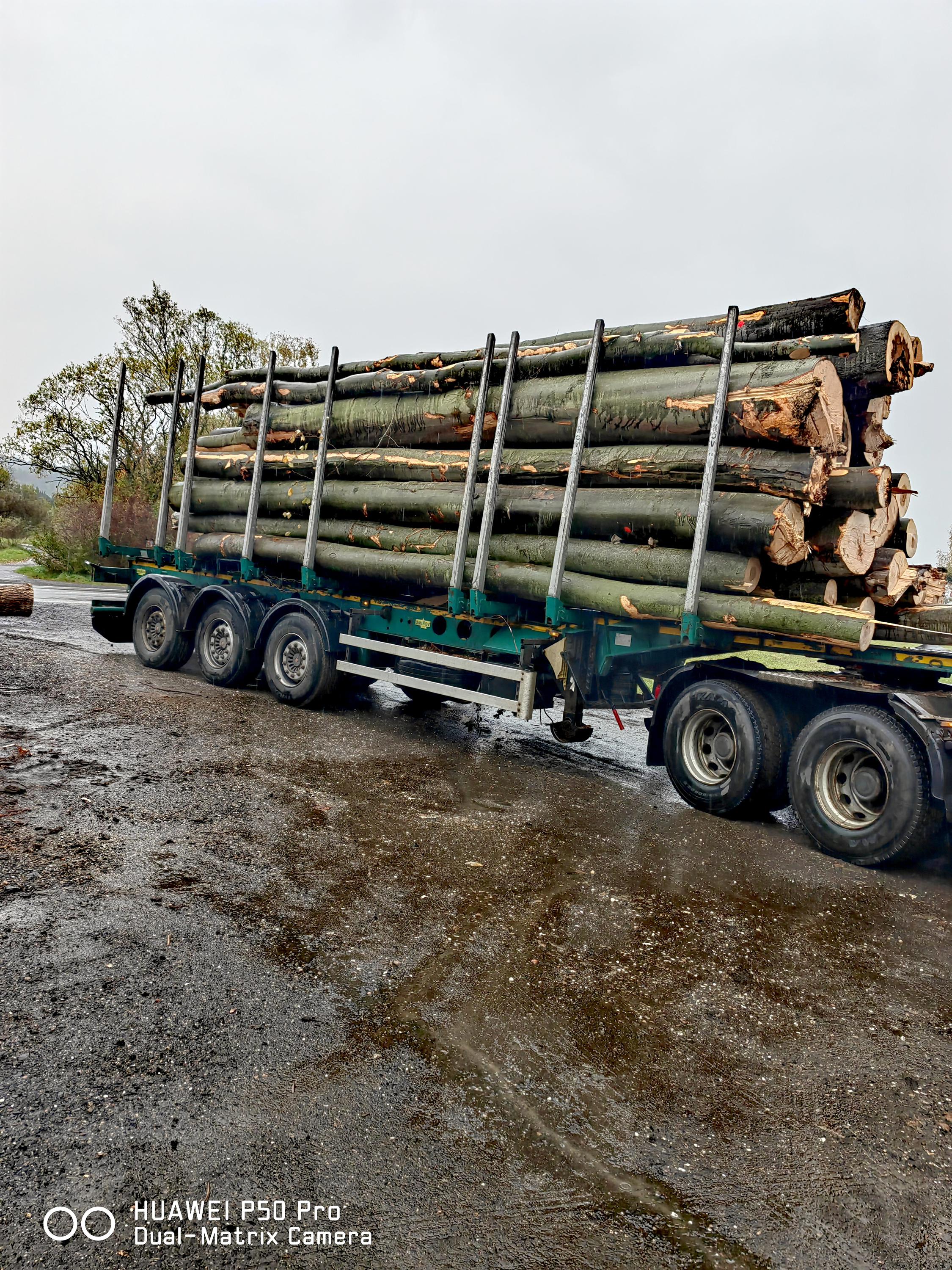 Palivové dřevo Novotný foto 5