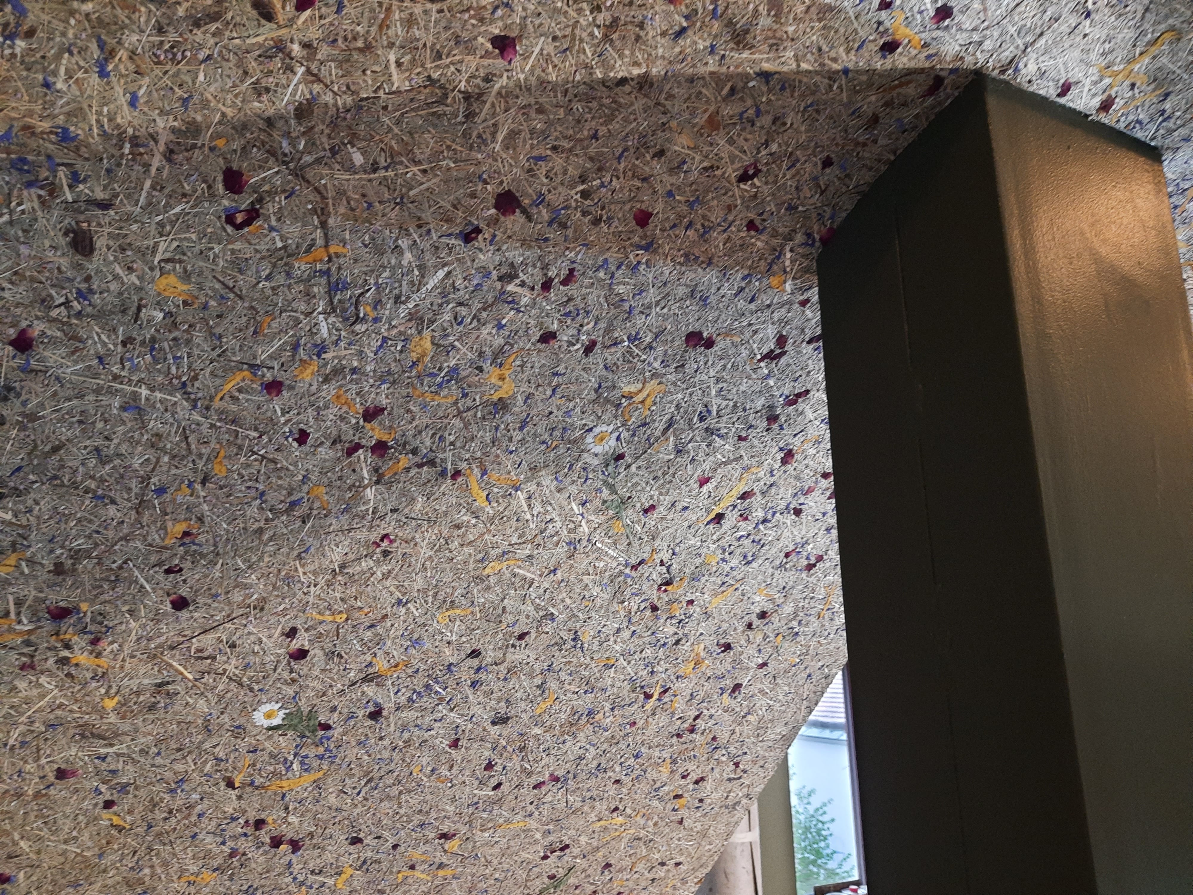 Tapetování Petr Dvořák foto 3