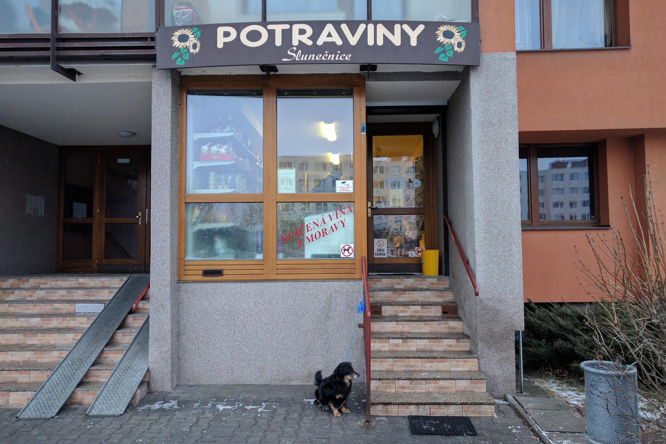 Potraviny Slunečniče