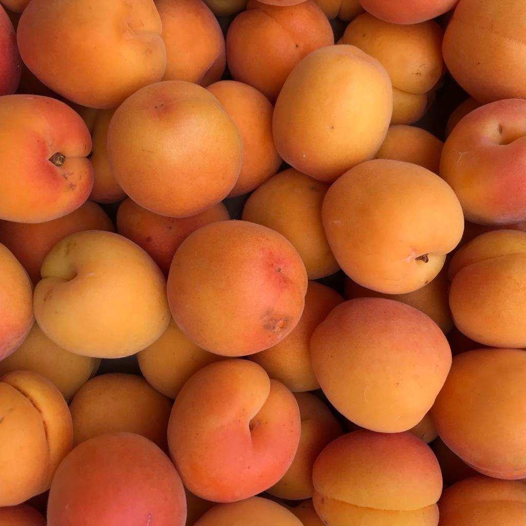 ROFI s.r.o. velkoobchod - e-shop foto 4