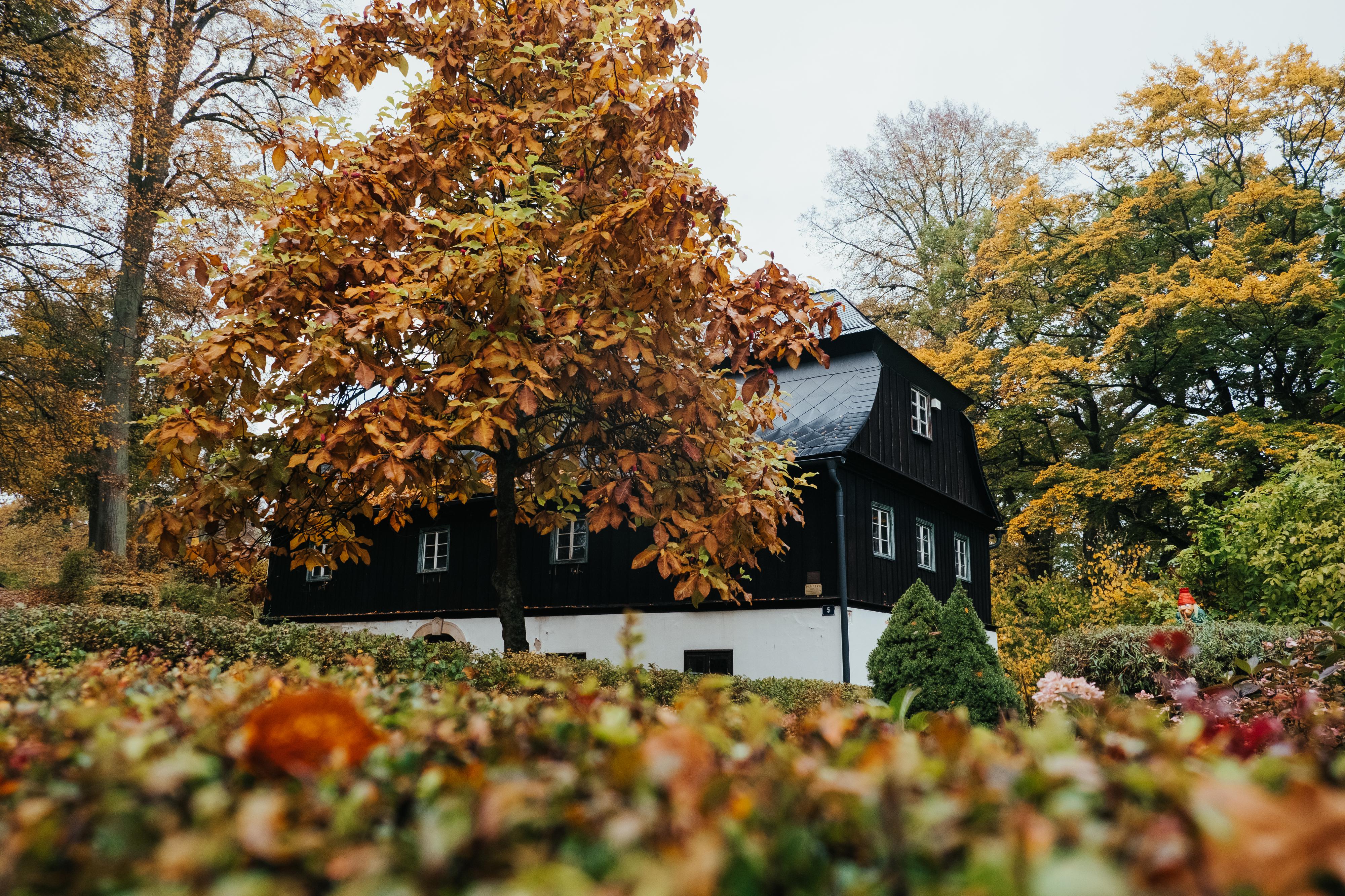 Sýpka Lemberk foto 3