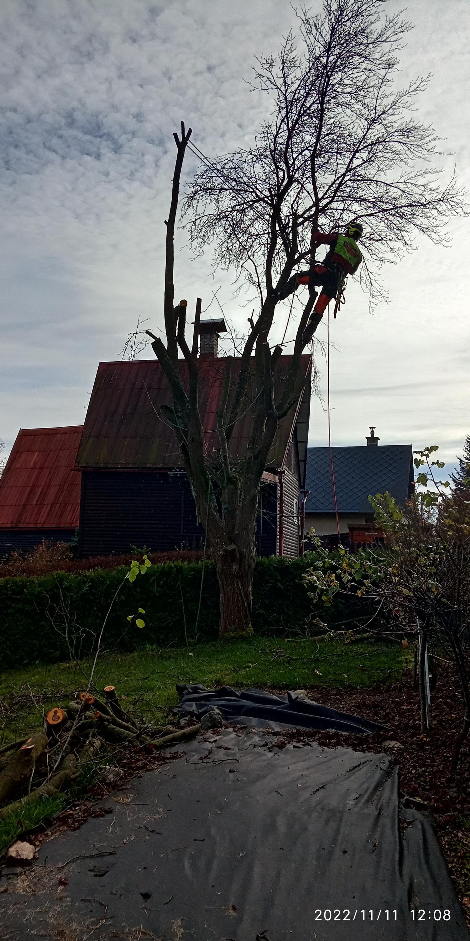 ARBOLINE.CZ foto 2