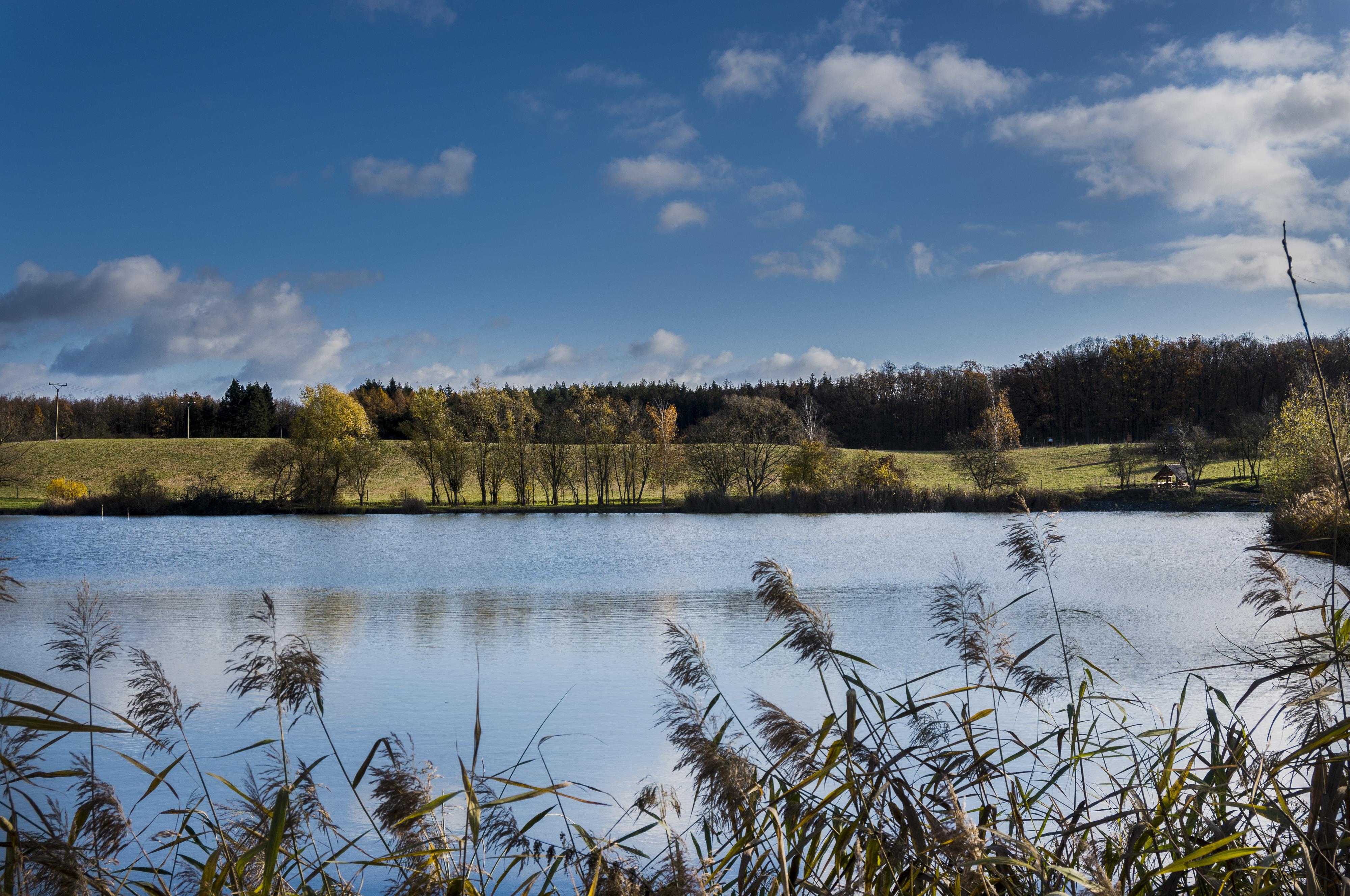Český rybářský svaz, místní organizace Rožďalovice