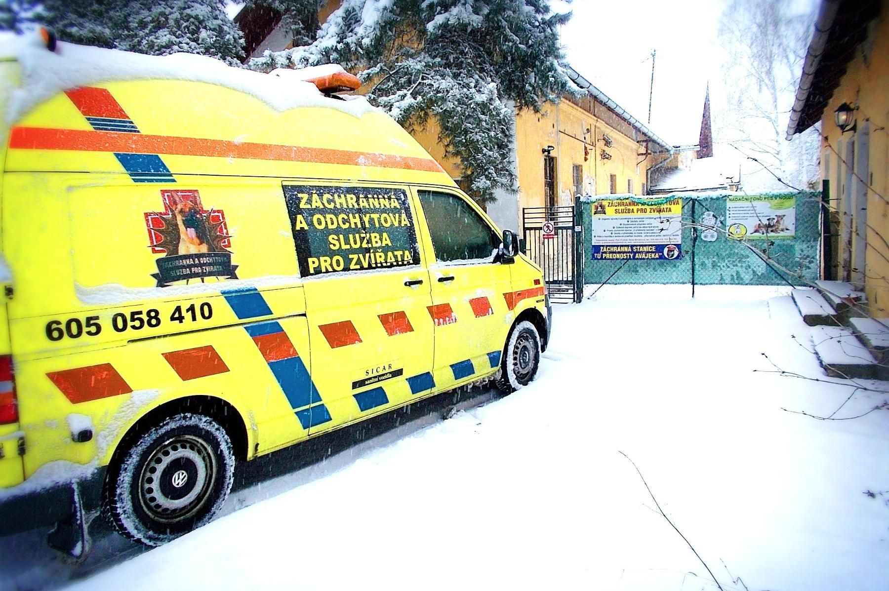 Petr Prokeš - Záchranná a odchytová služba pro zvířata