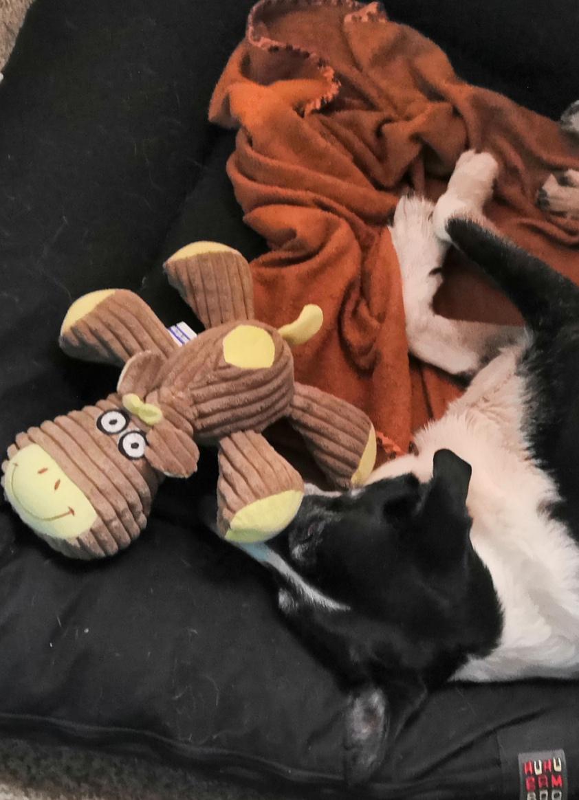 Penzion Slunovrat foto 6