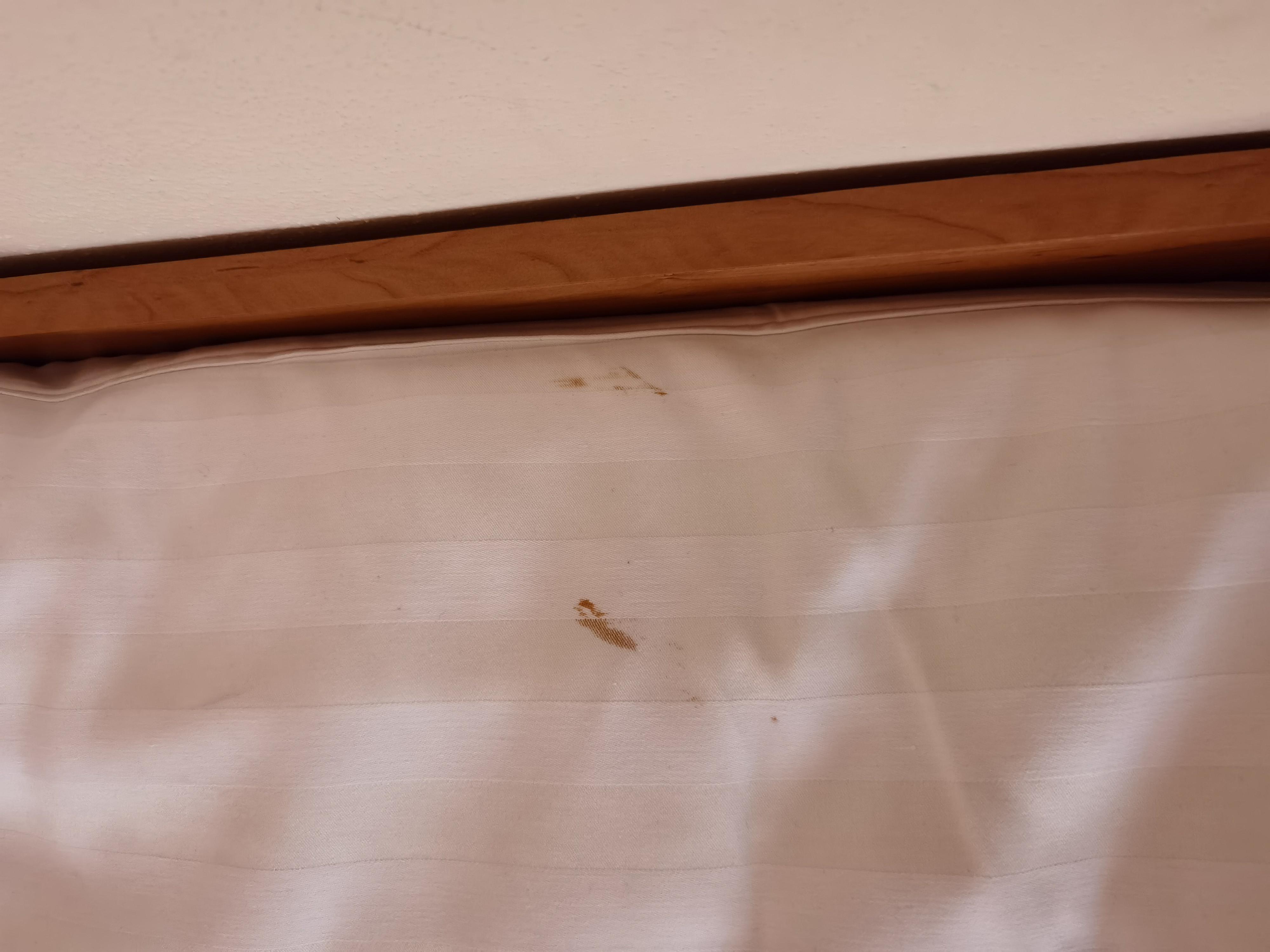 Pension Greenstar foto 6