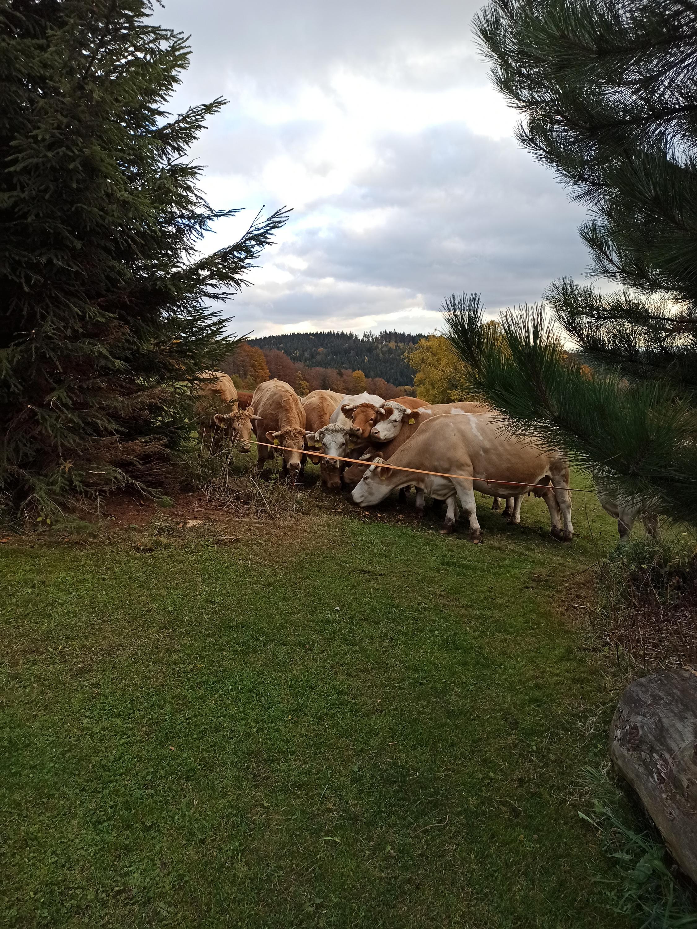 Srub Strážka foto 6