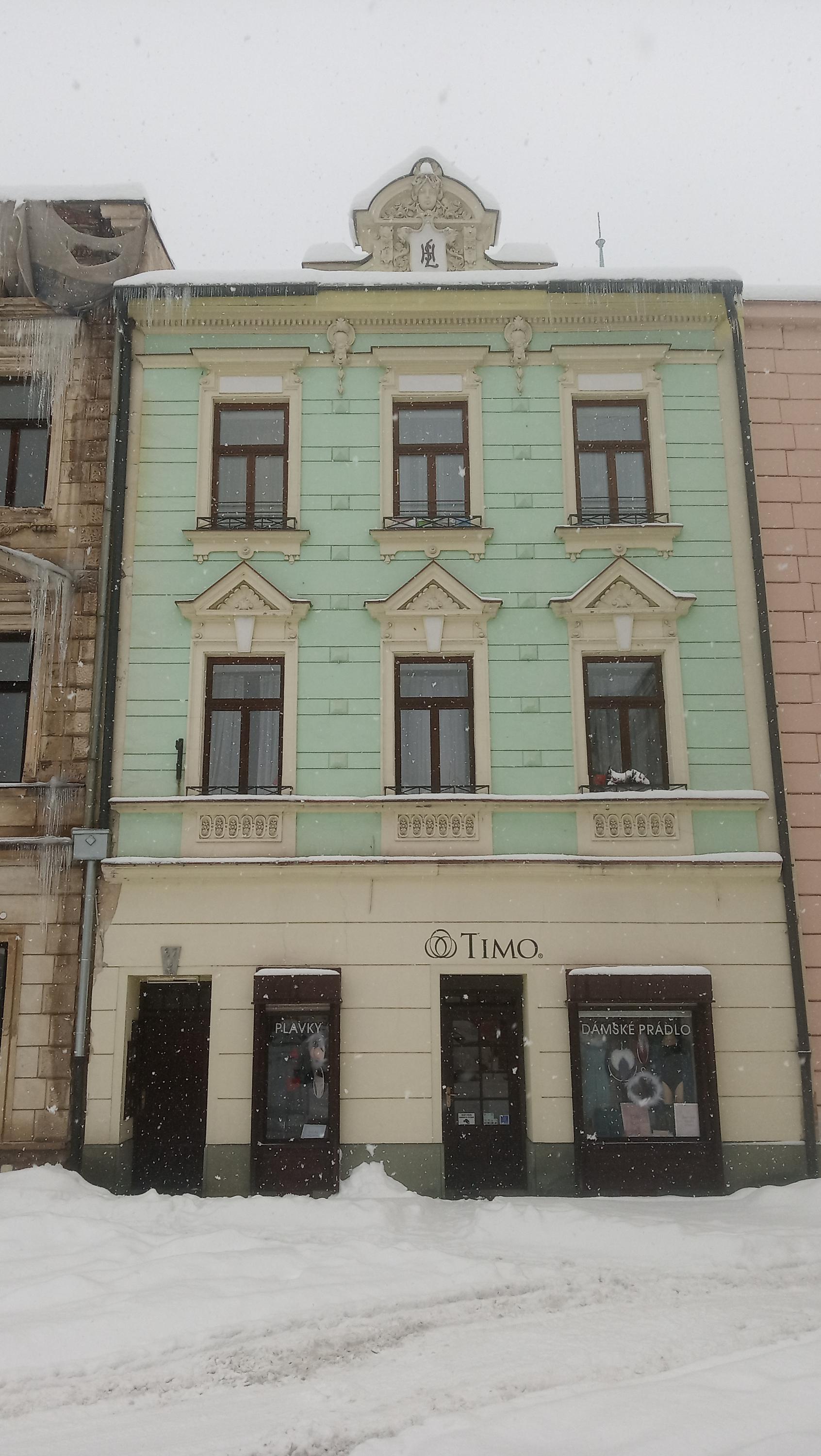 TIMO foto 1