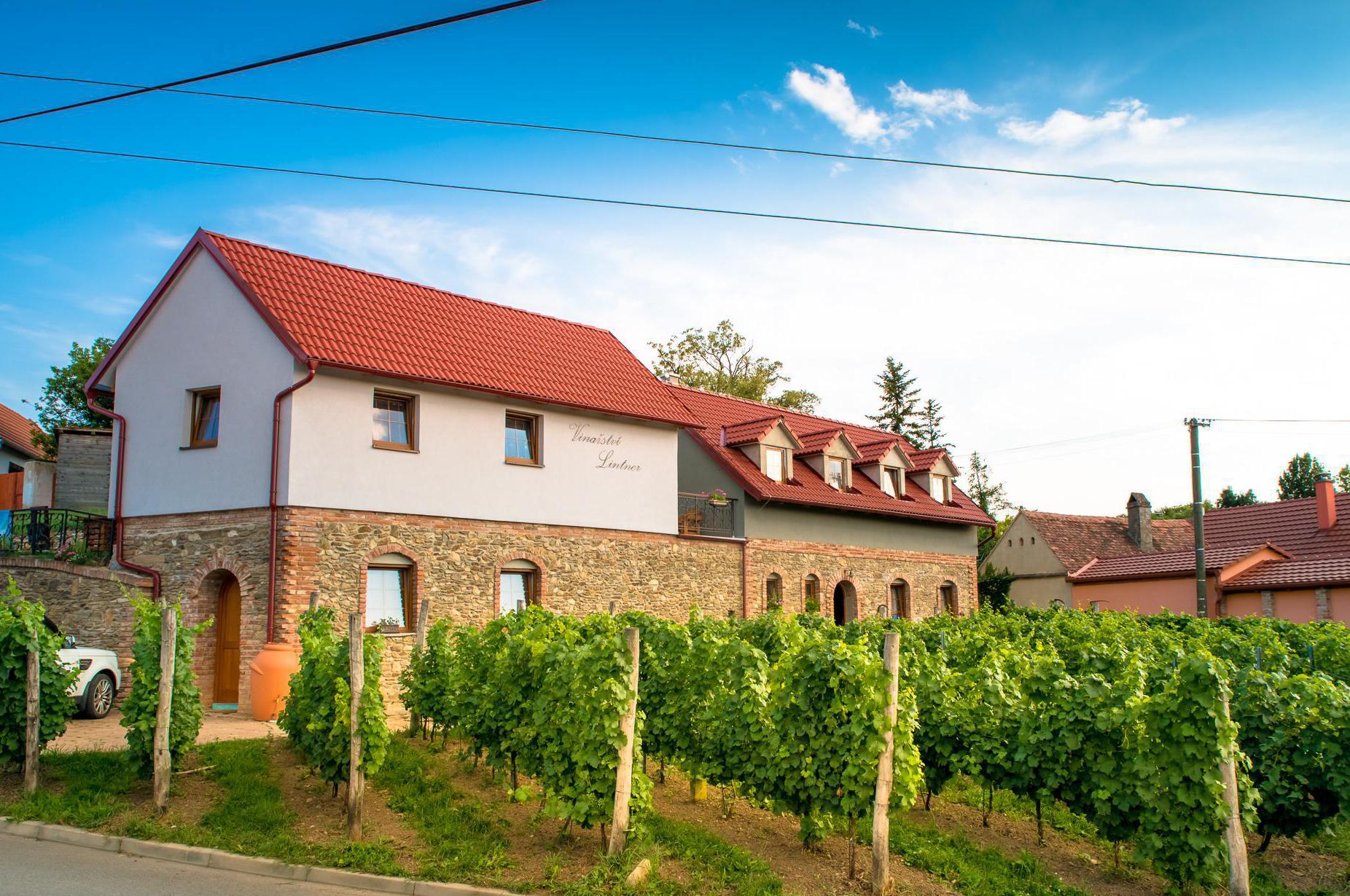 Vinařství a penzion Lintner