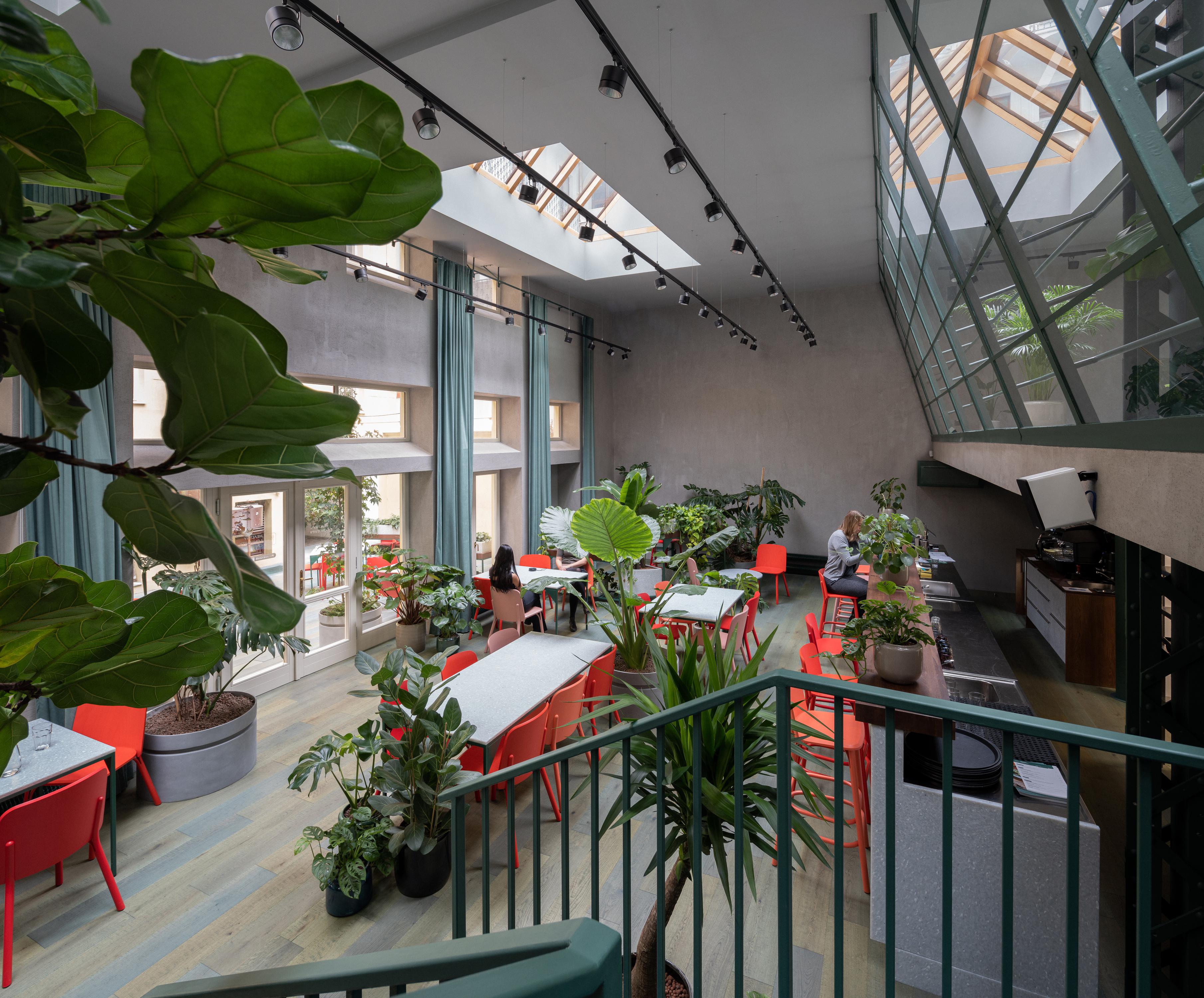 Healthy Longevity Café foto 6