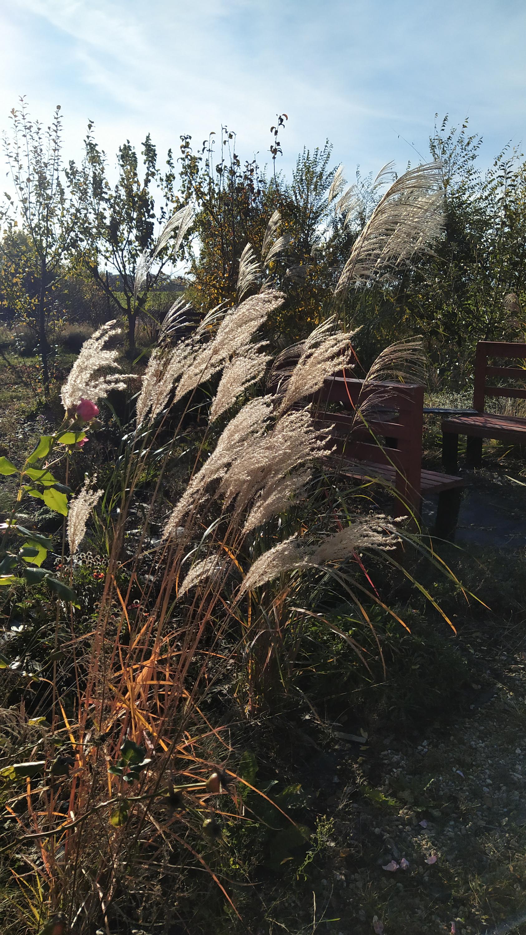 Návrhy a realizace zahrad Veronika Pokorná foto 3