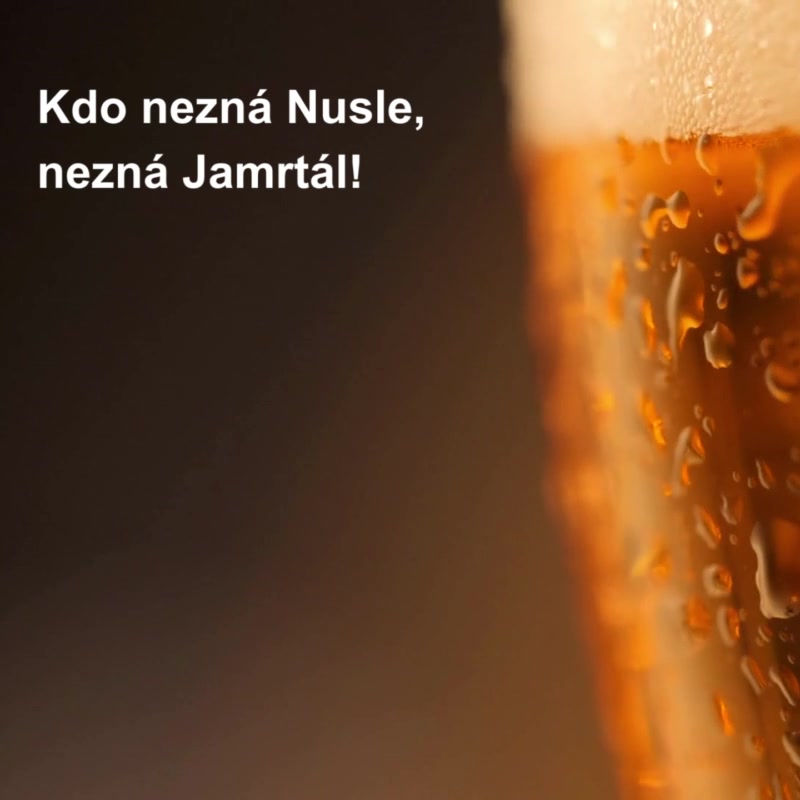 Pub & Restaurant Jamrtál foto 2 (náhled videa)