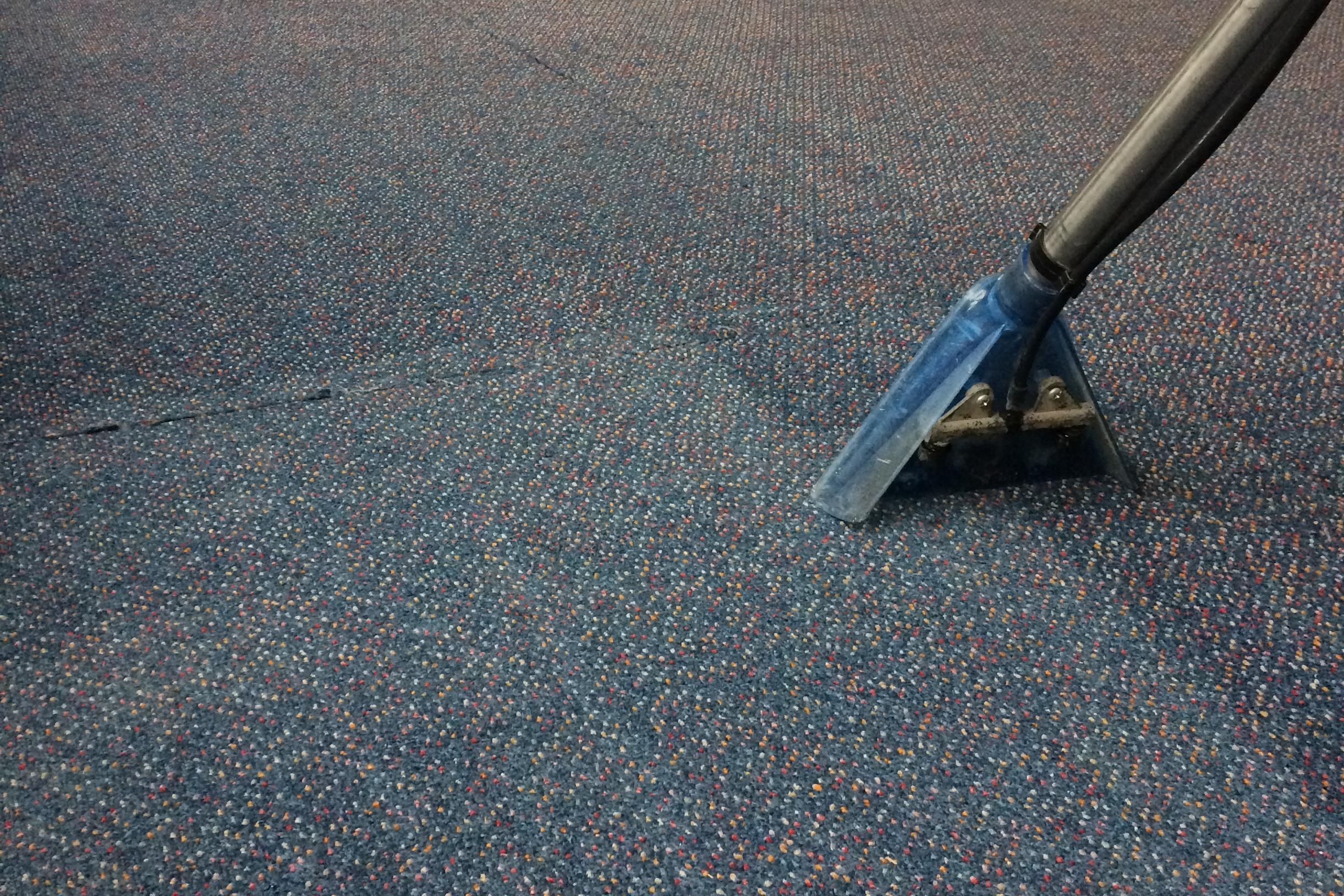 Profesionální čištění koberců