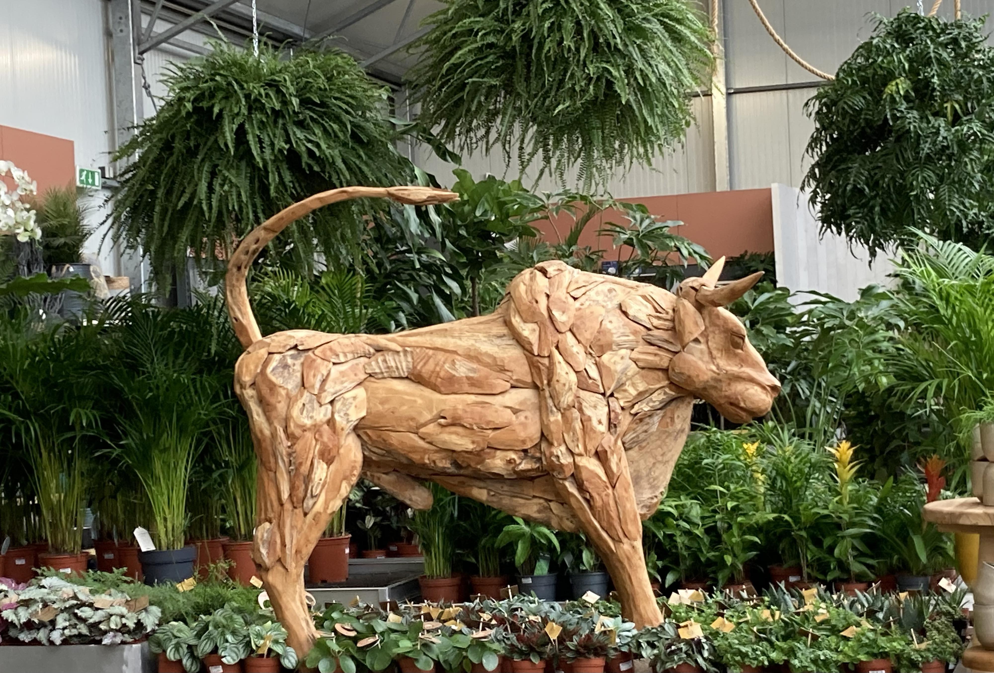 Zahradnické centrum Ferenčík foto 4