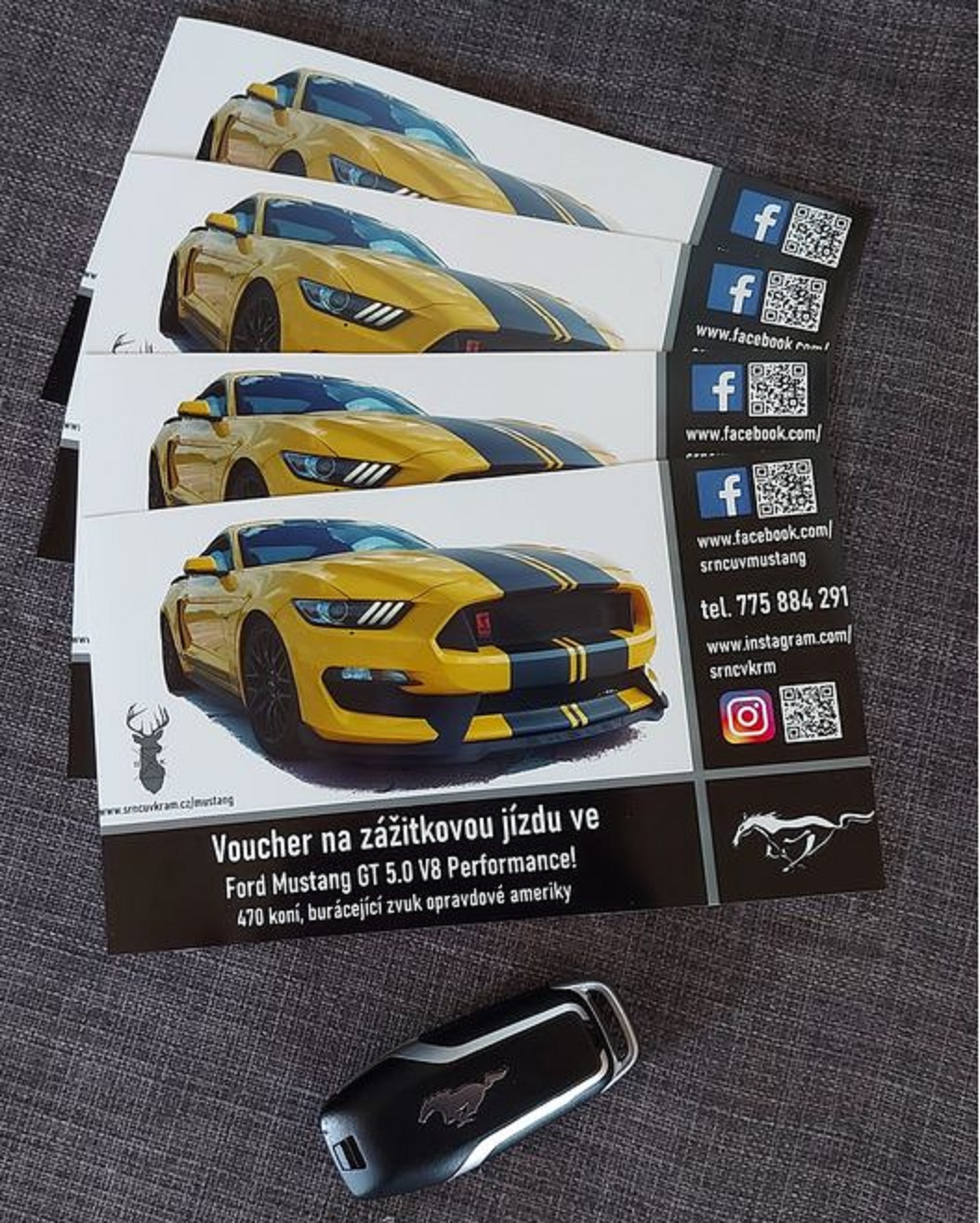 Srncův Mustang foto 3