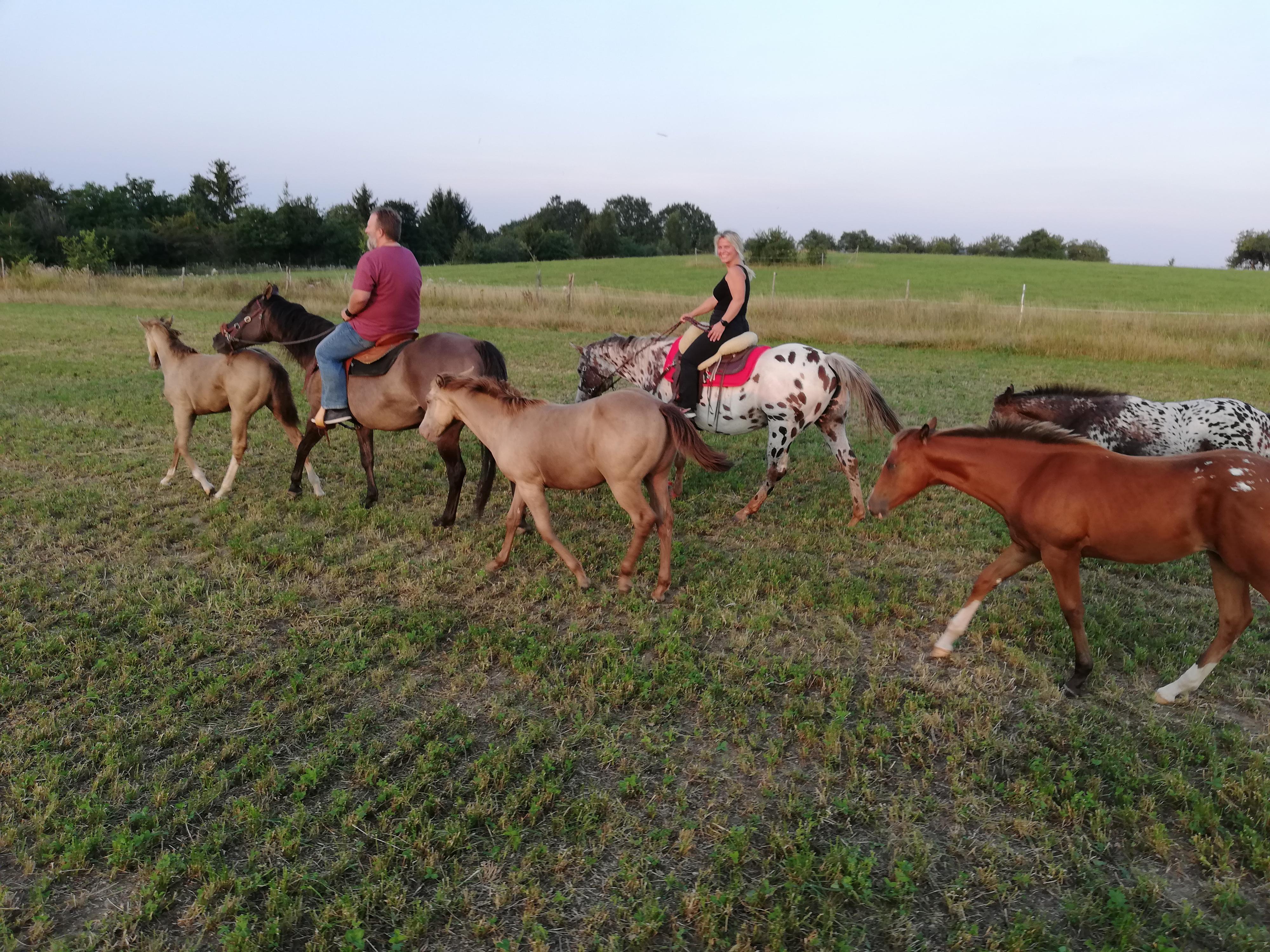 MA-MA rodinná mlékárna foto 3