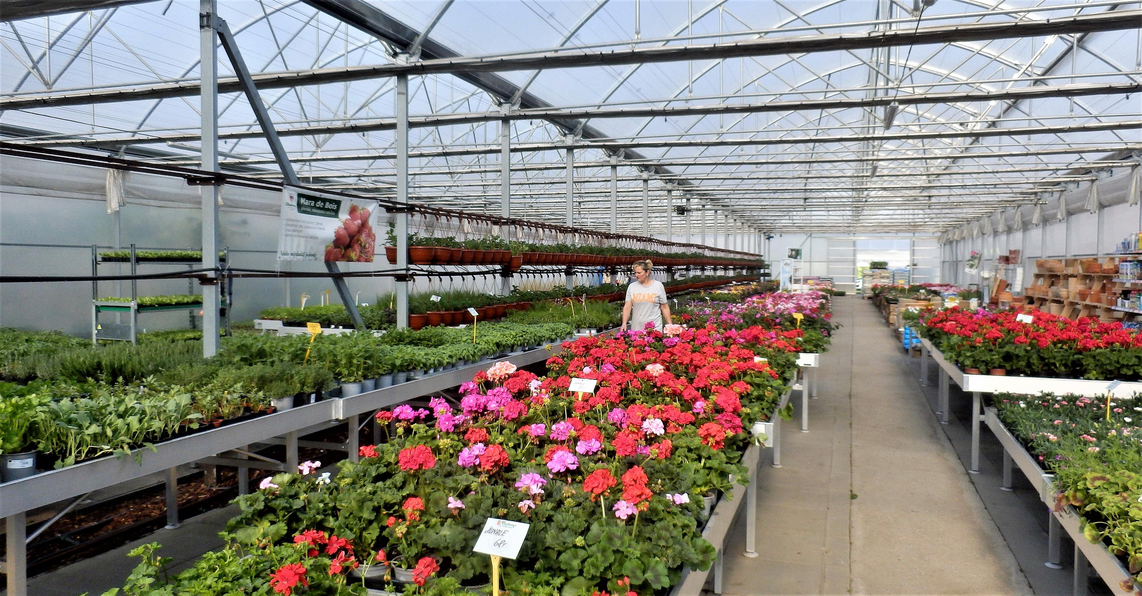 Zahradnictví Farma Hanč foto 2