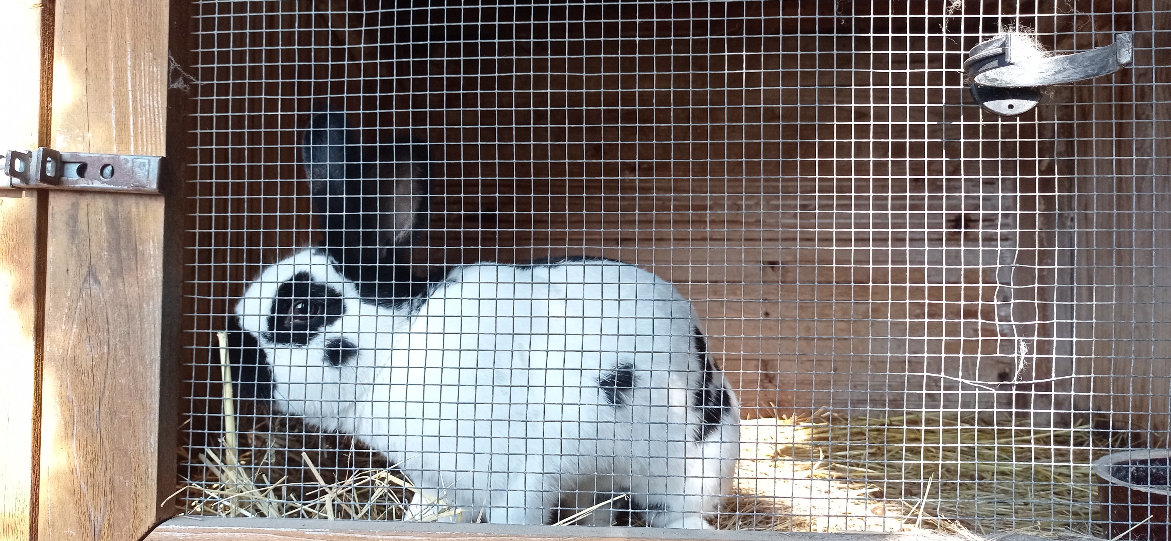 Ing. Zdeněk Mazal - zahradnictví foto 6
