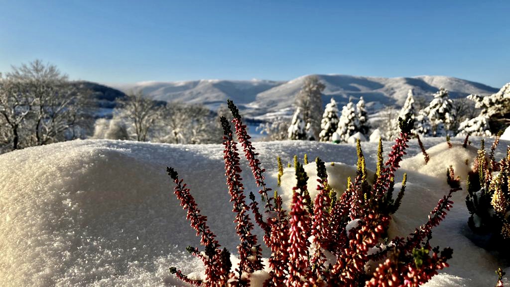 Apartmány Na Kopci foto 6