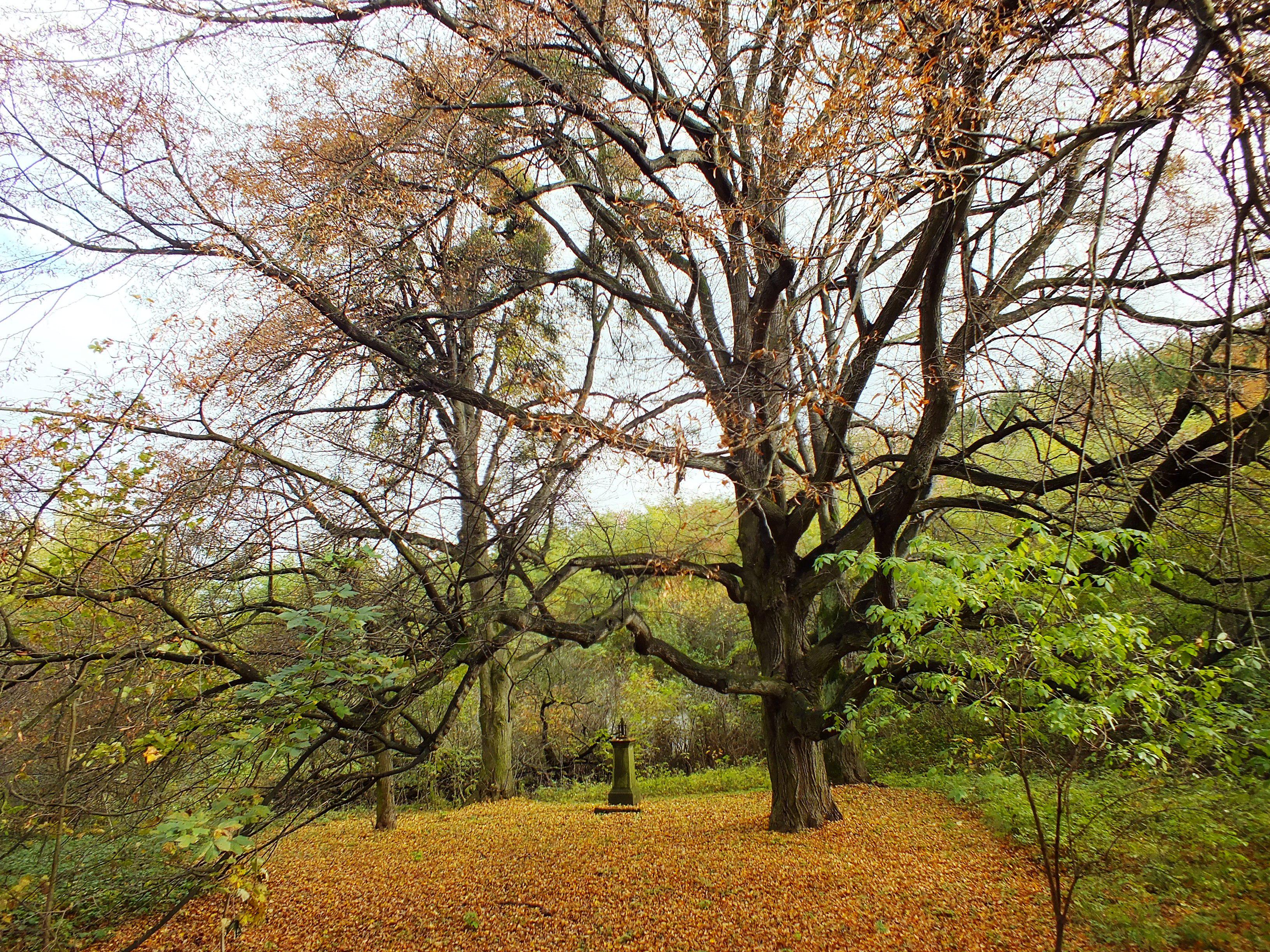 Místní akční skupina Hříběcí hory, z.s. foto 3