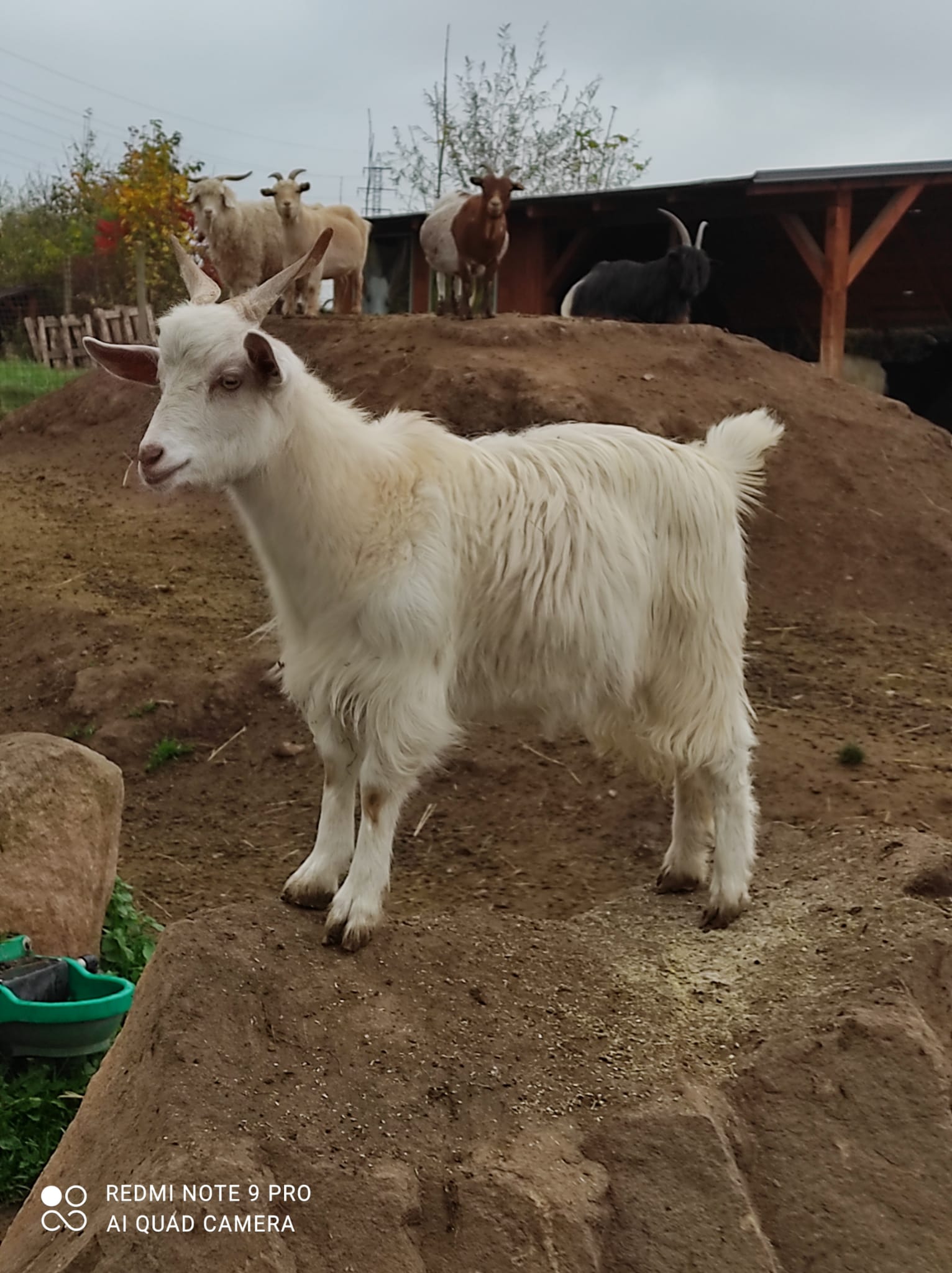 FARMA WENET BROUMOV foto 2