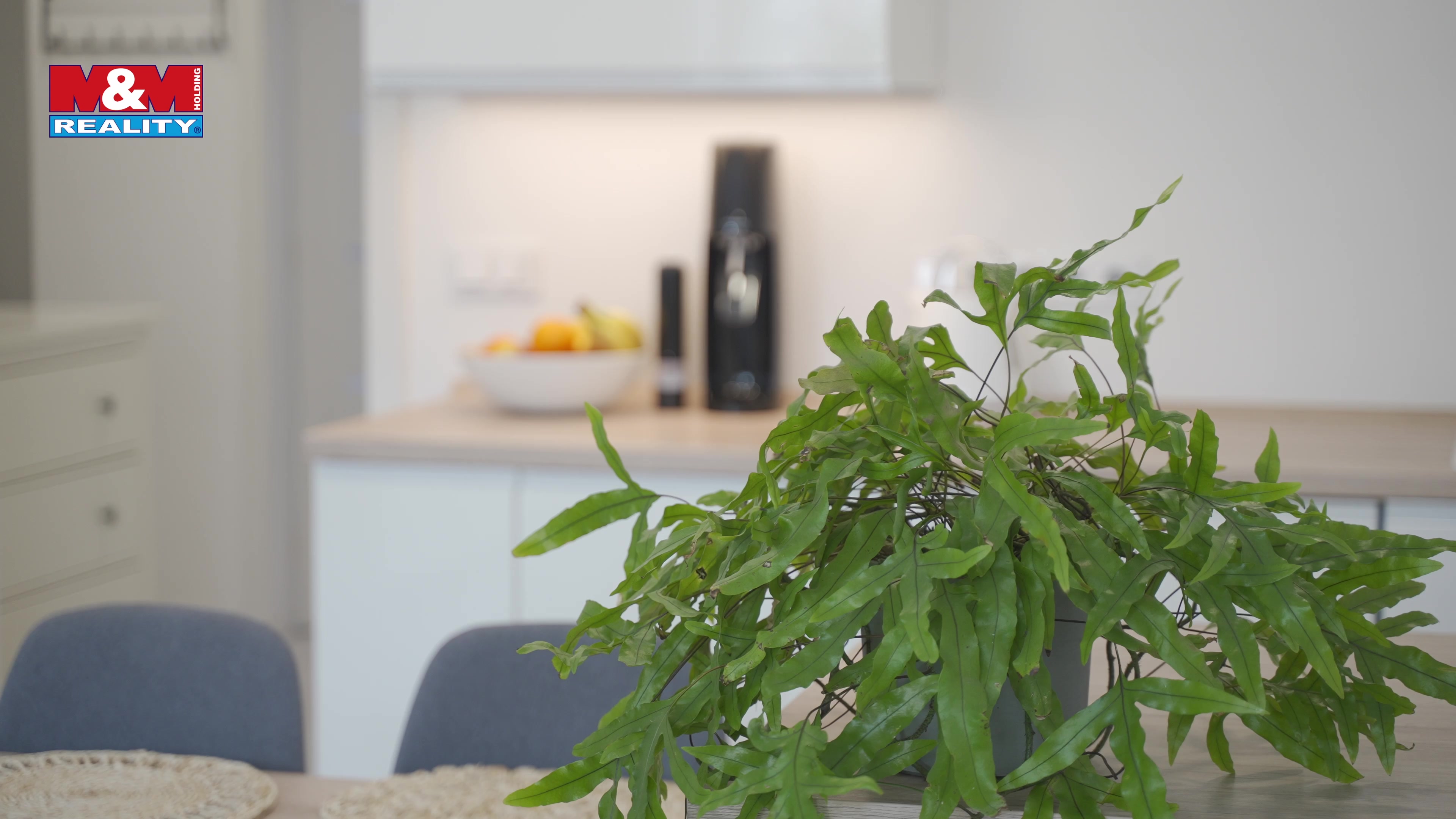 Petr Chlanda partner M&M Reality foto 2 (náhled videa)