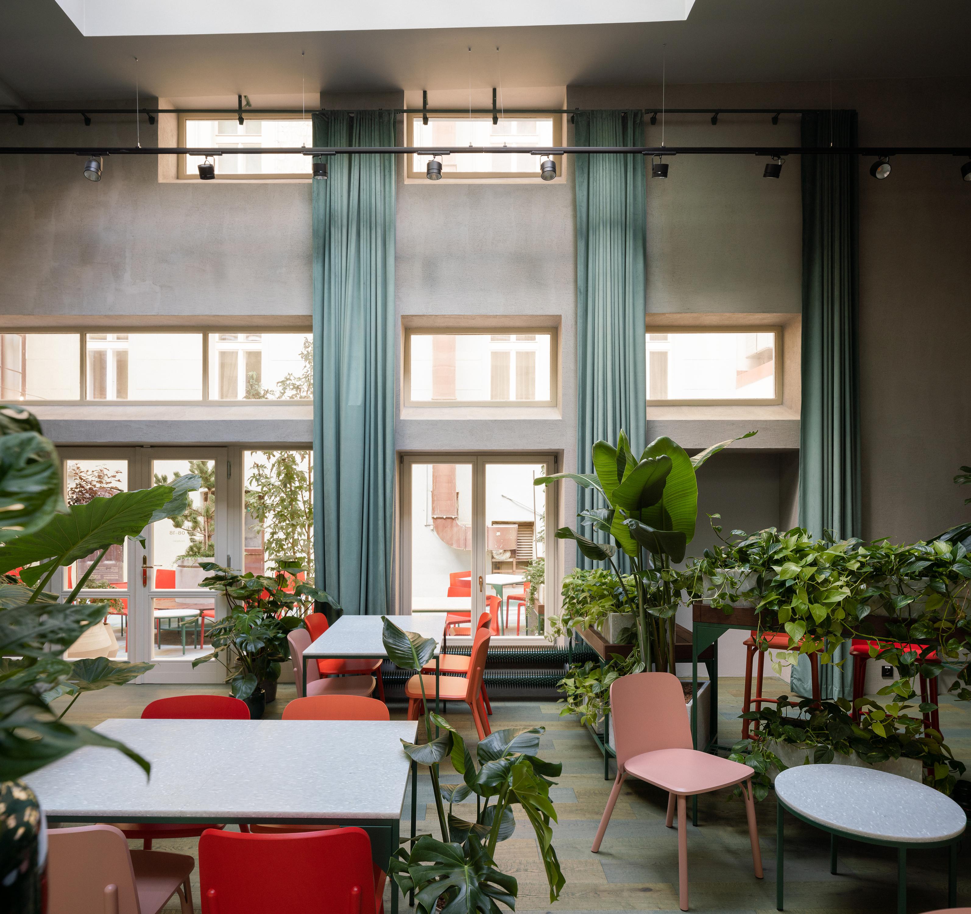 Healthy Longevity Café foto 5