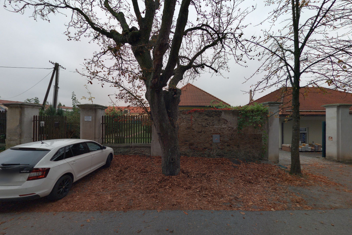 Mgr. Veronika Miklíková