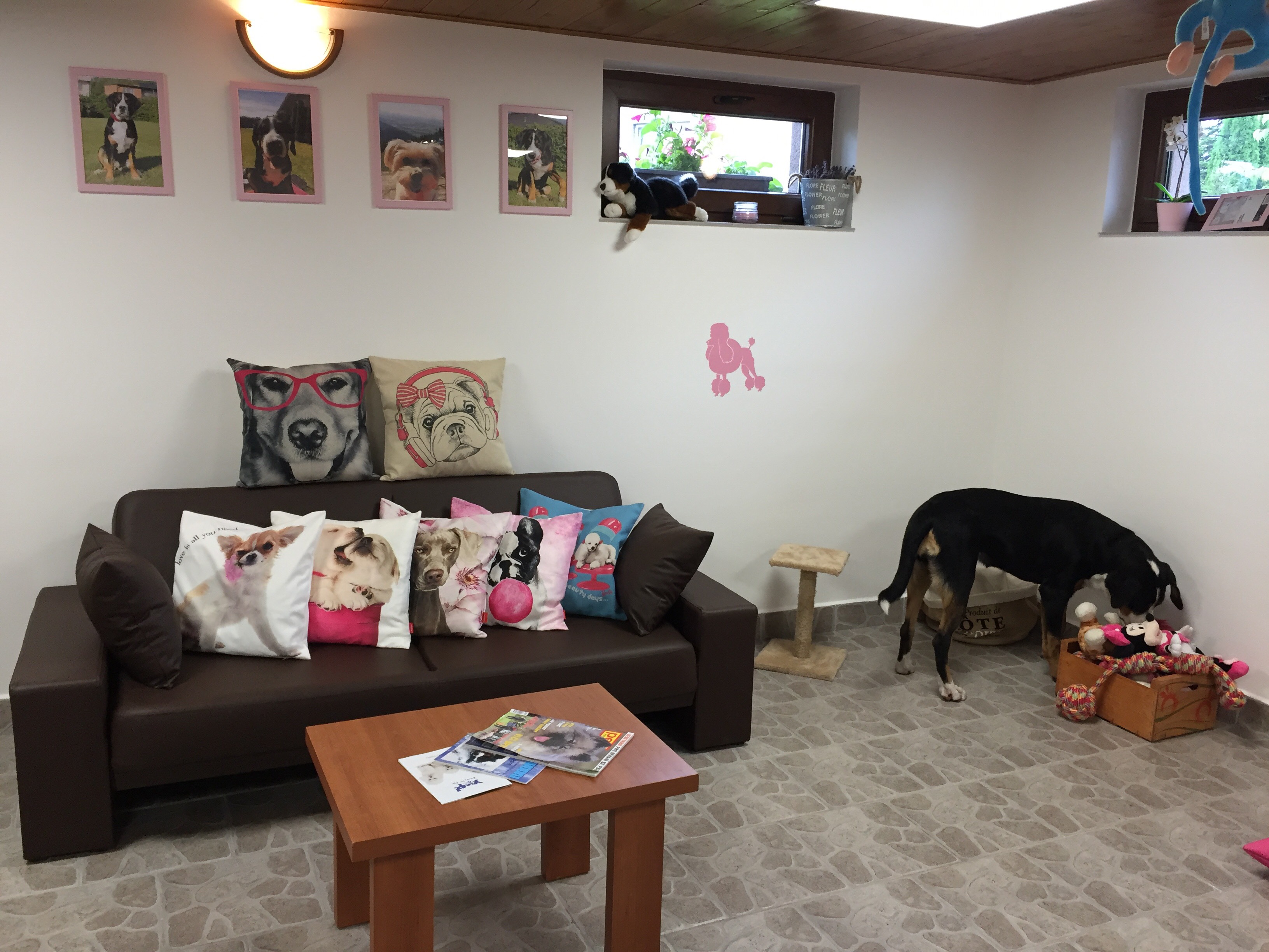 Black Bett - salón pro psy Karviná foto 2